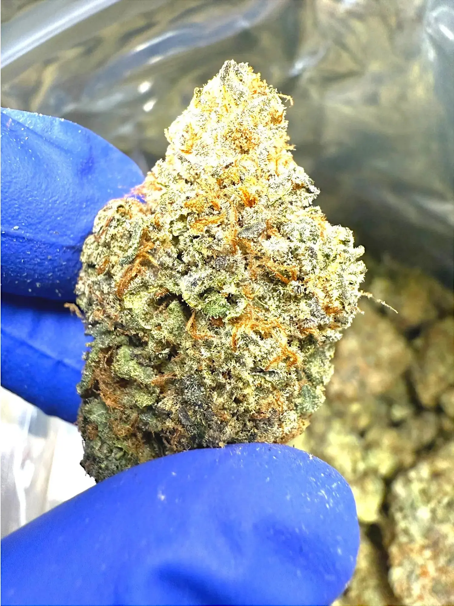 Frisco Labs - Exotic Indoor Smurfette THCA - Image 2