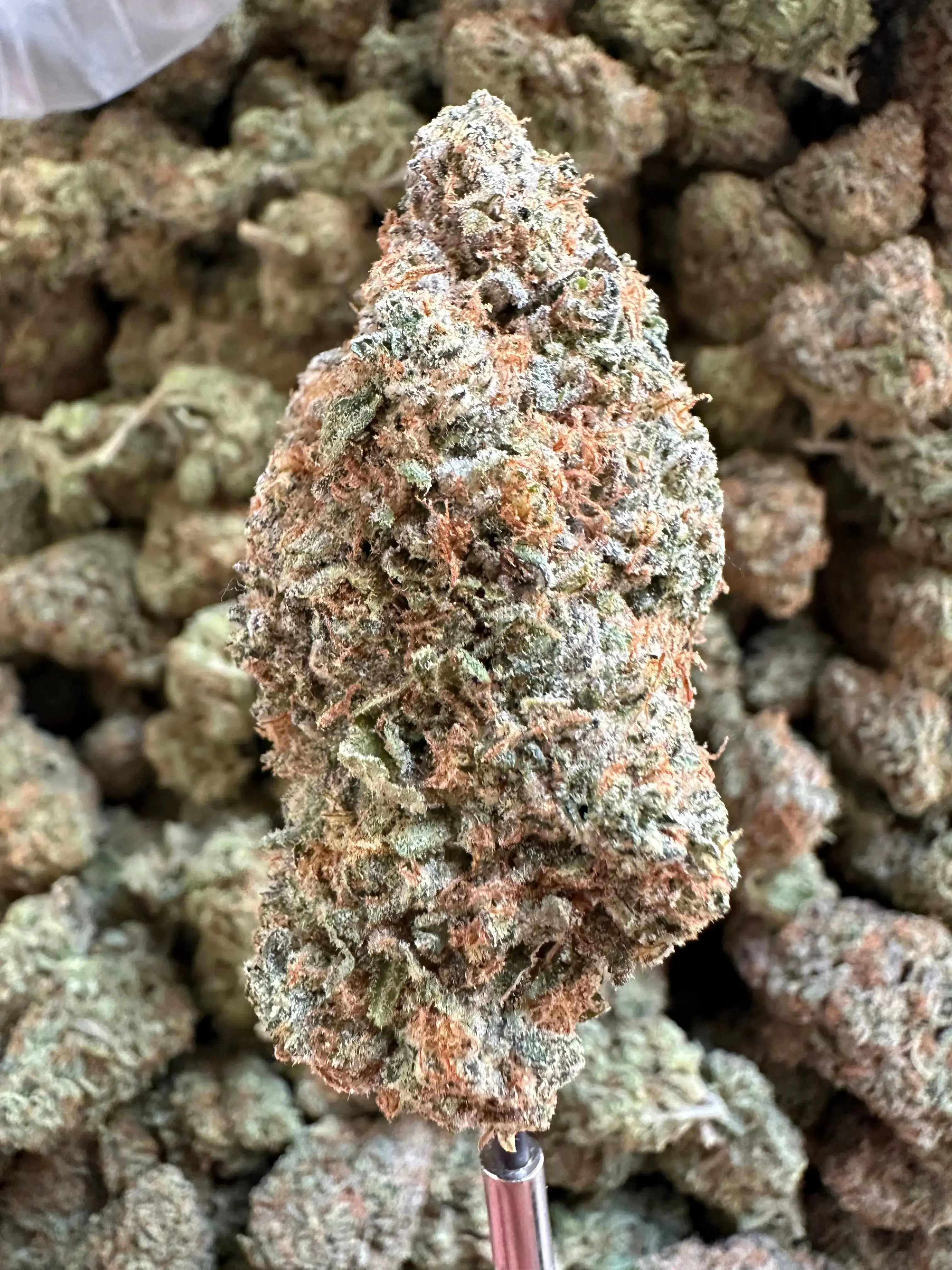Frisco Labs - Exotic Indoor Smurfette THCA - Image 5