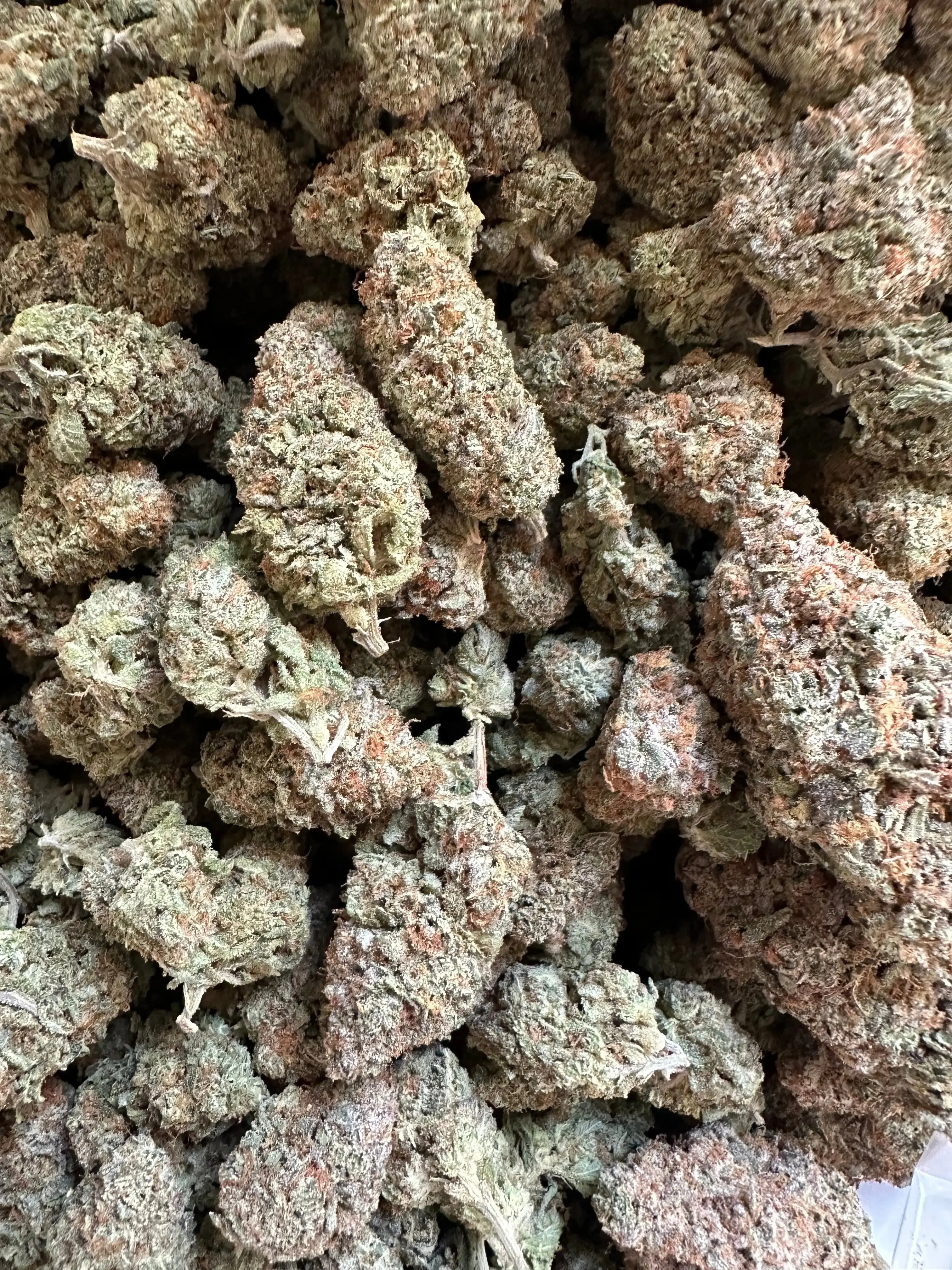 Frisco Labs - Exotic Indoor Smurfette THCA - Image 7