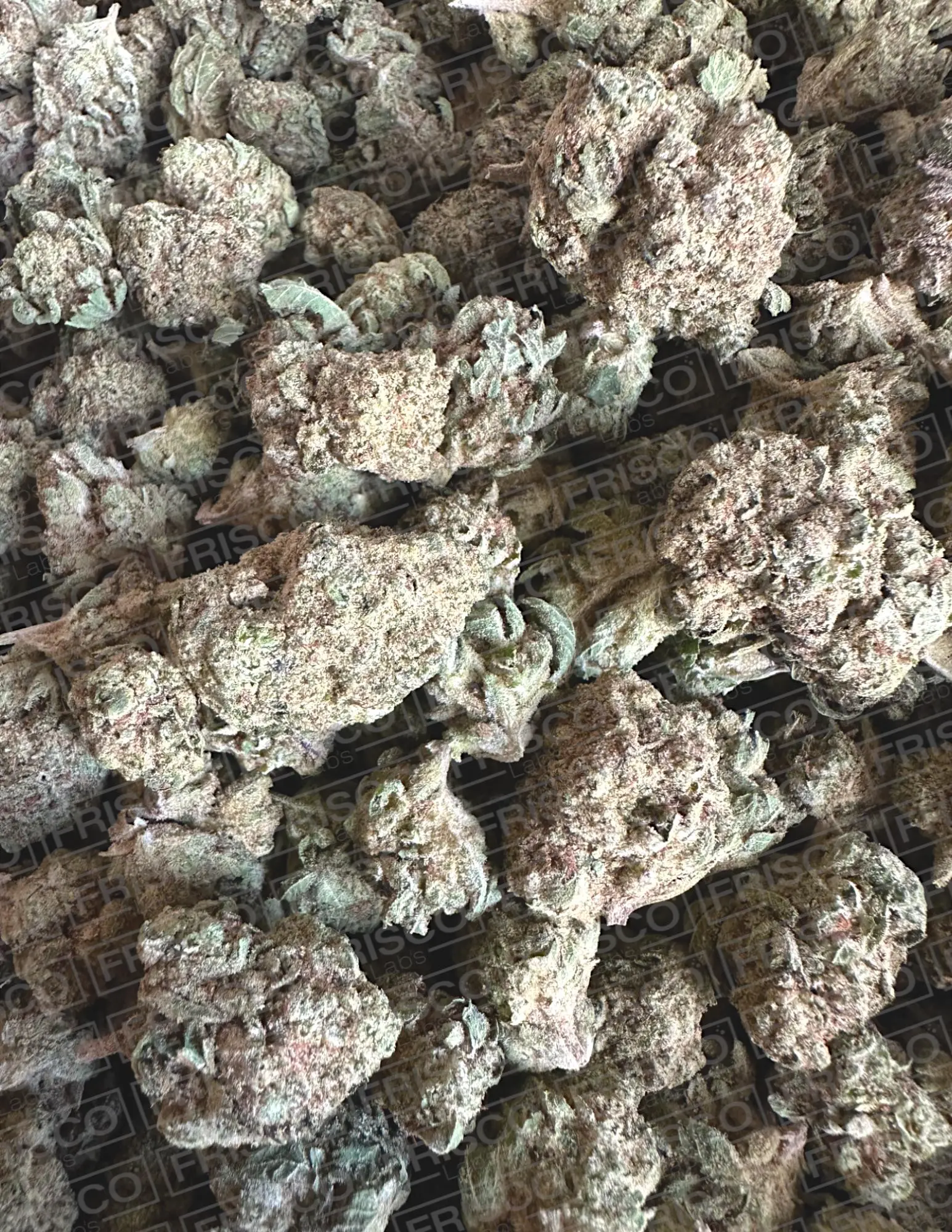 Frisco Labs Exotic Indoor Super Glue OG THCA Strain - Image 2