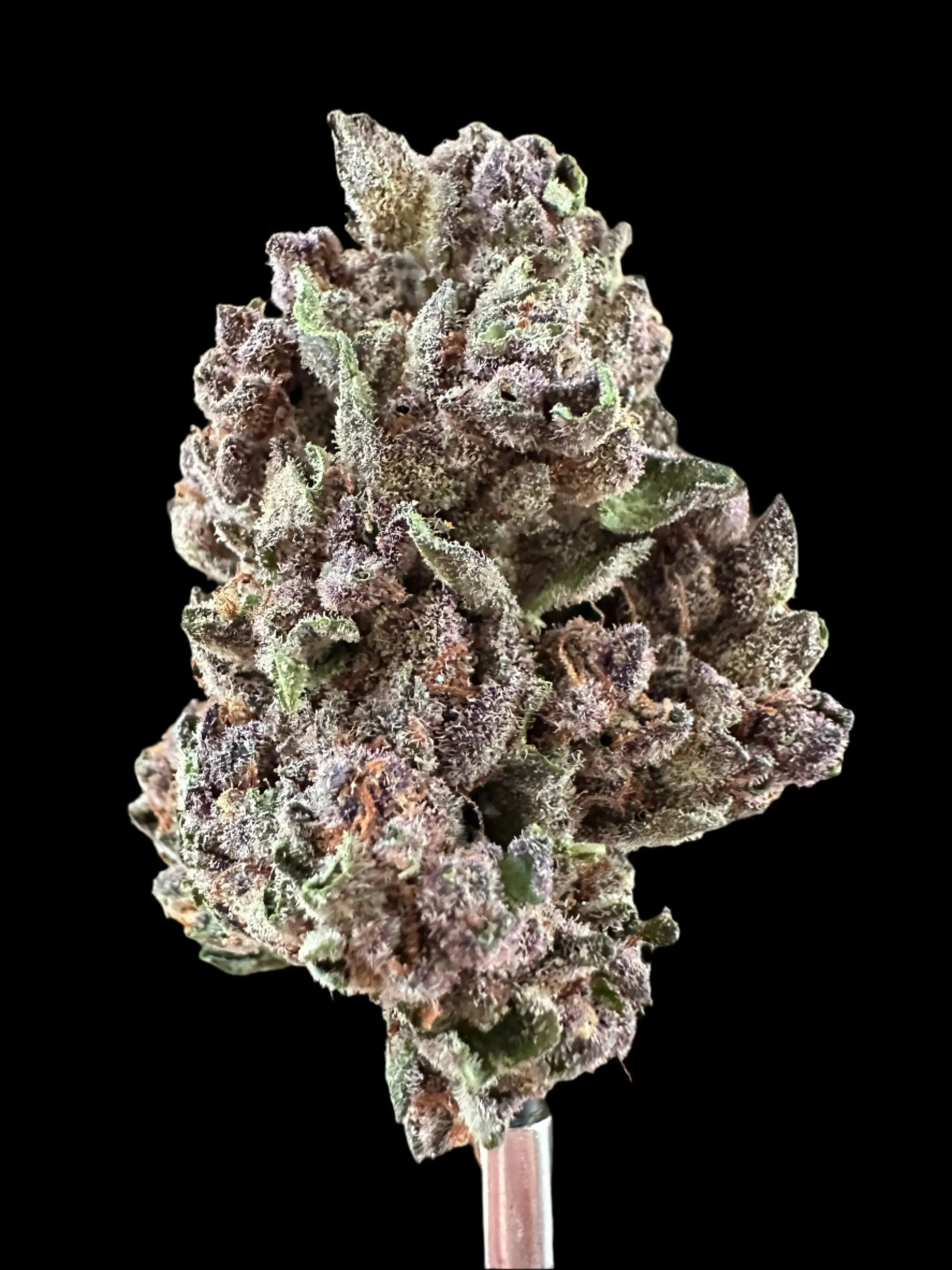 Frisco Labs - Exoti Tropicanna Cherry THCA