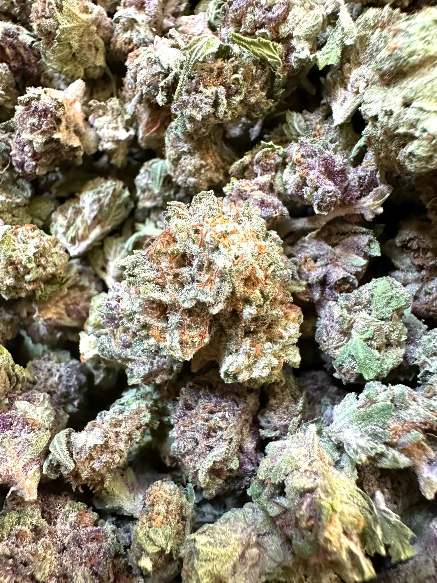 Frisco Labs - Exotic Lemon Punch THCA Strain