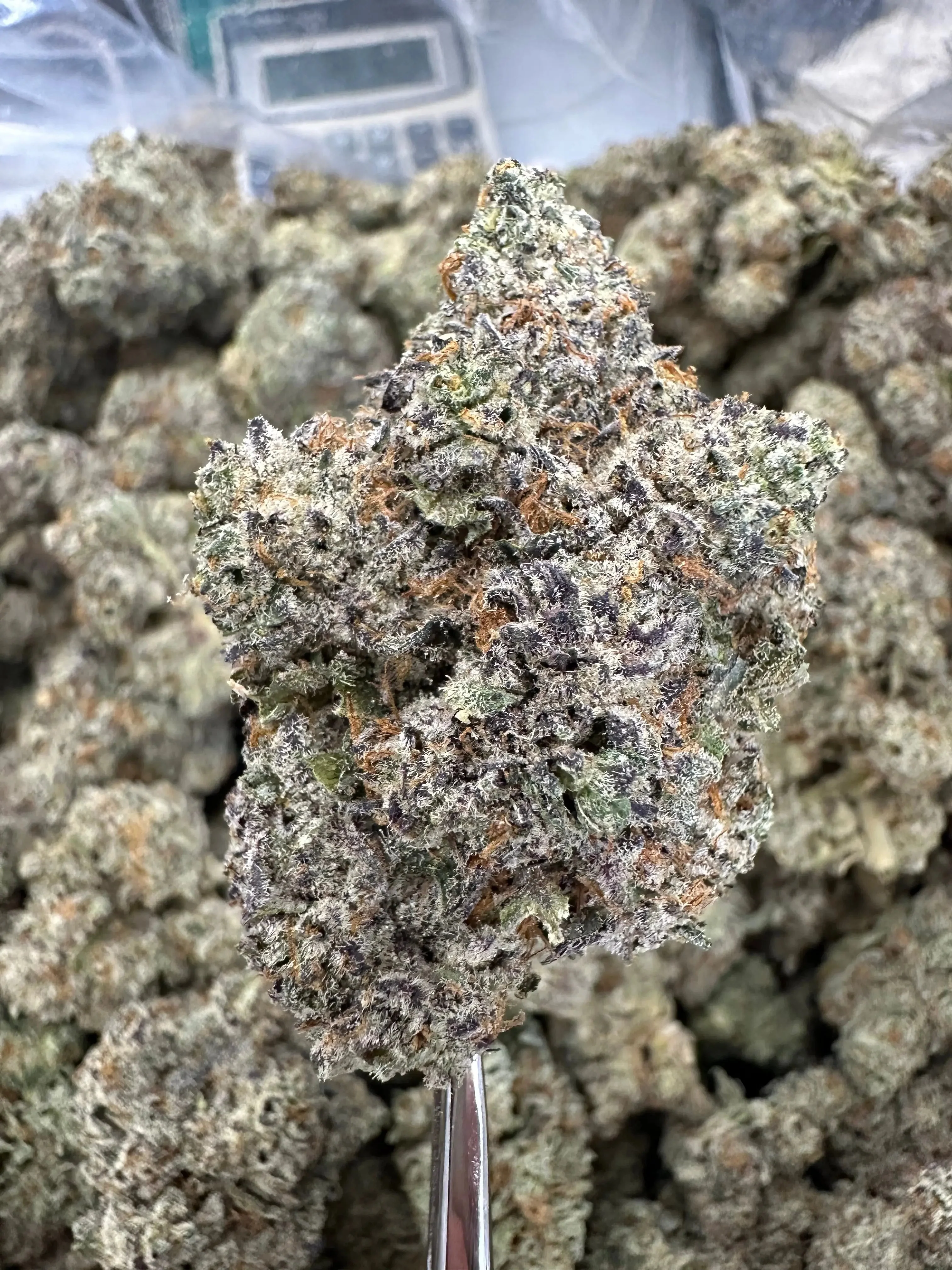 Frisco Labs - Indoor Exotic - Cookies And Cream THCA Strain - Image 4