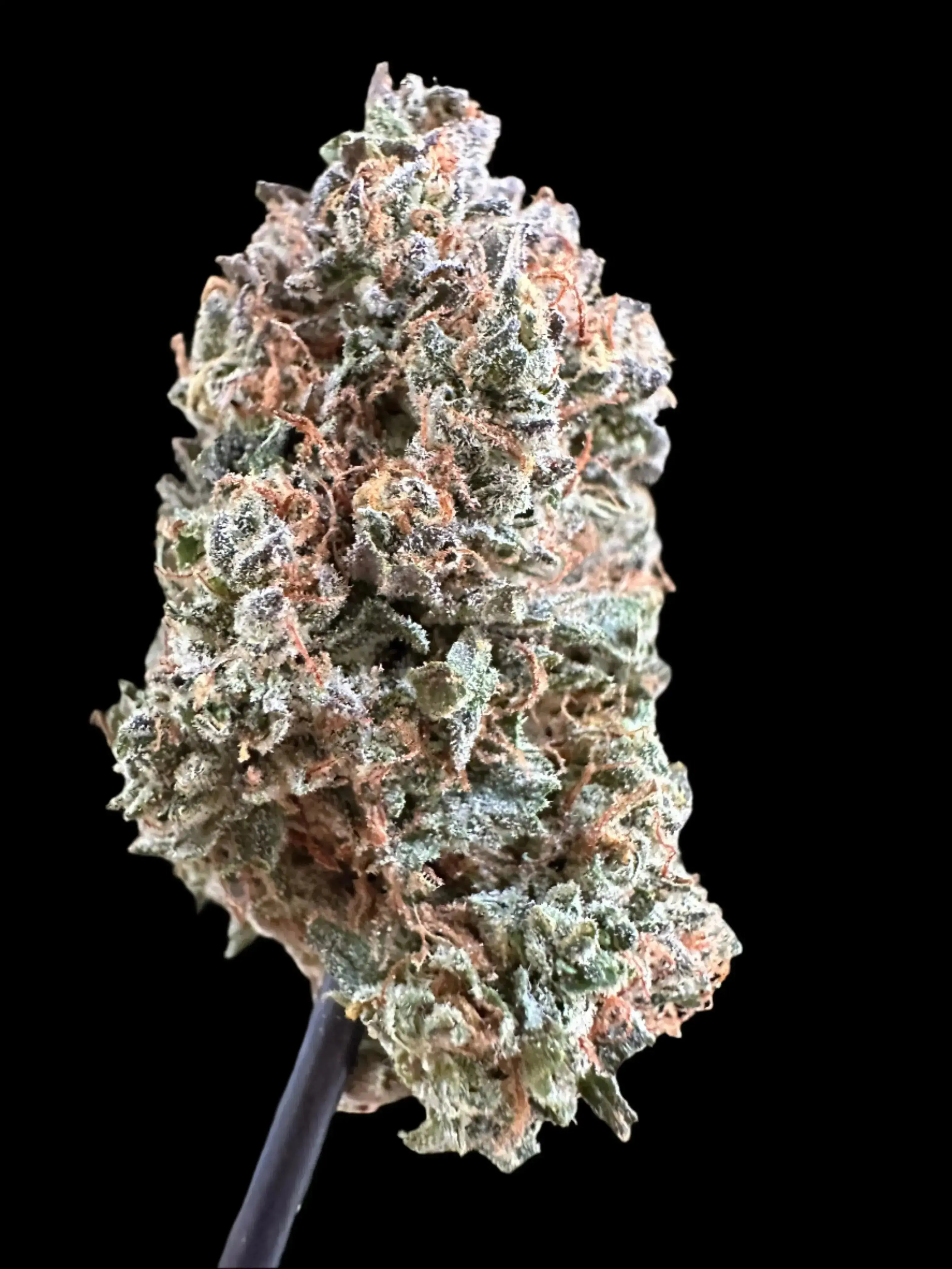 Exotic Pineapple Diesel THCA - 1 OZ