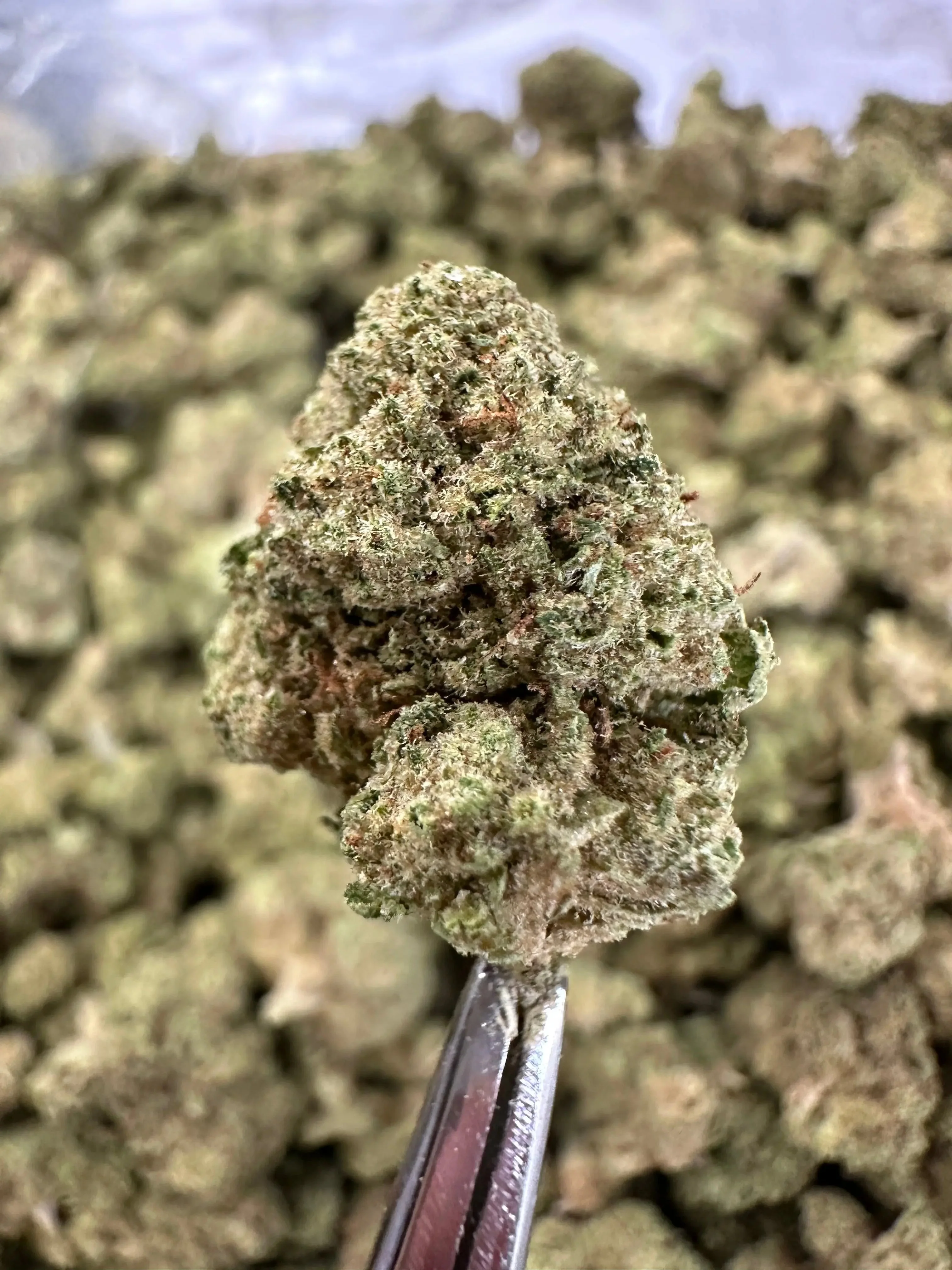 Frisco Labs - MMXX THCA Strain