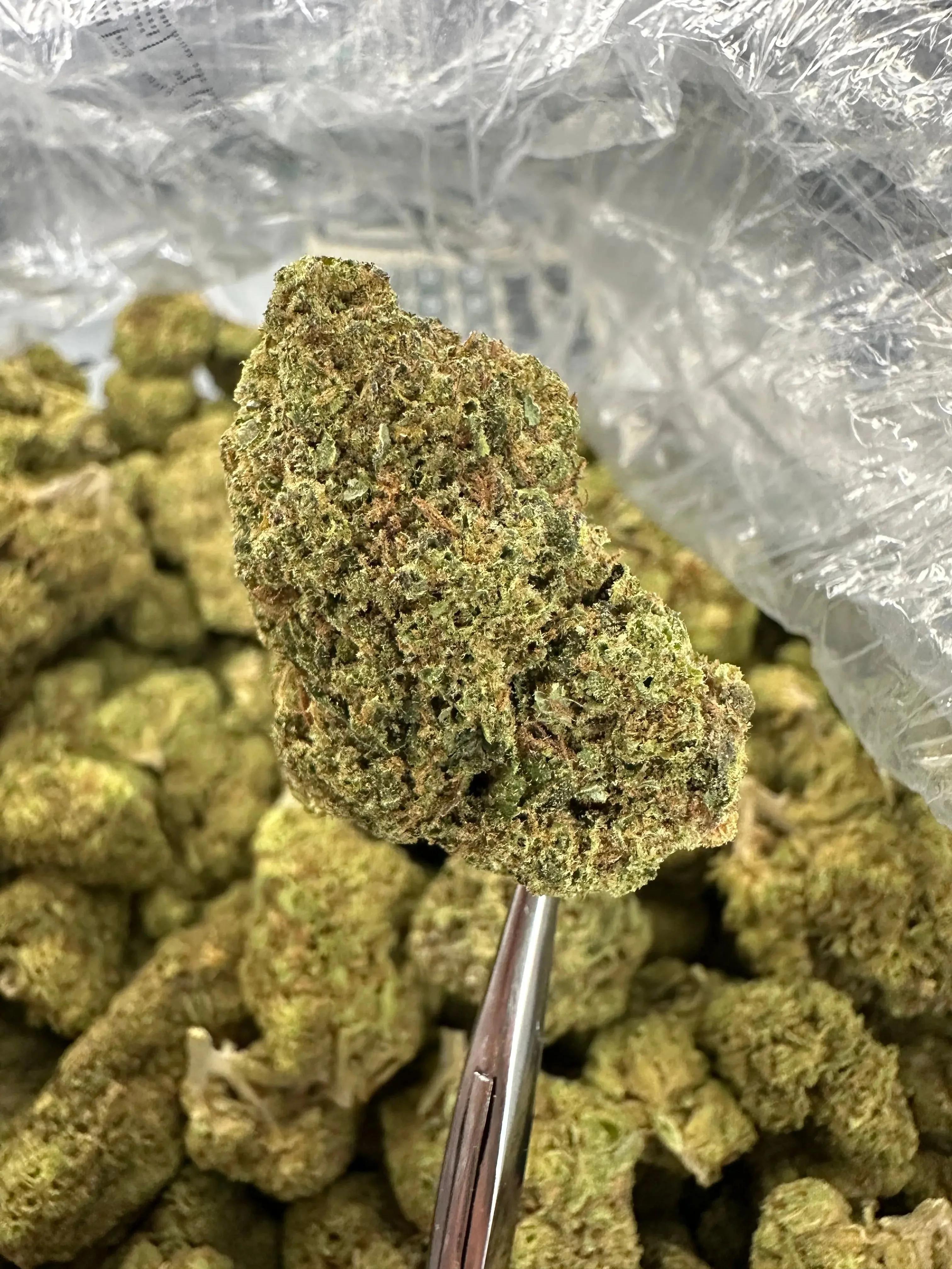Frisco Labs - White Runtz Strain THCA