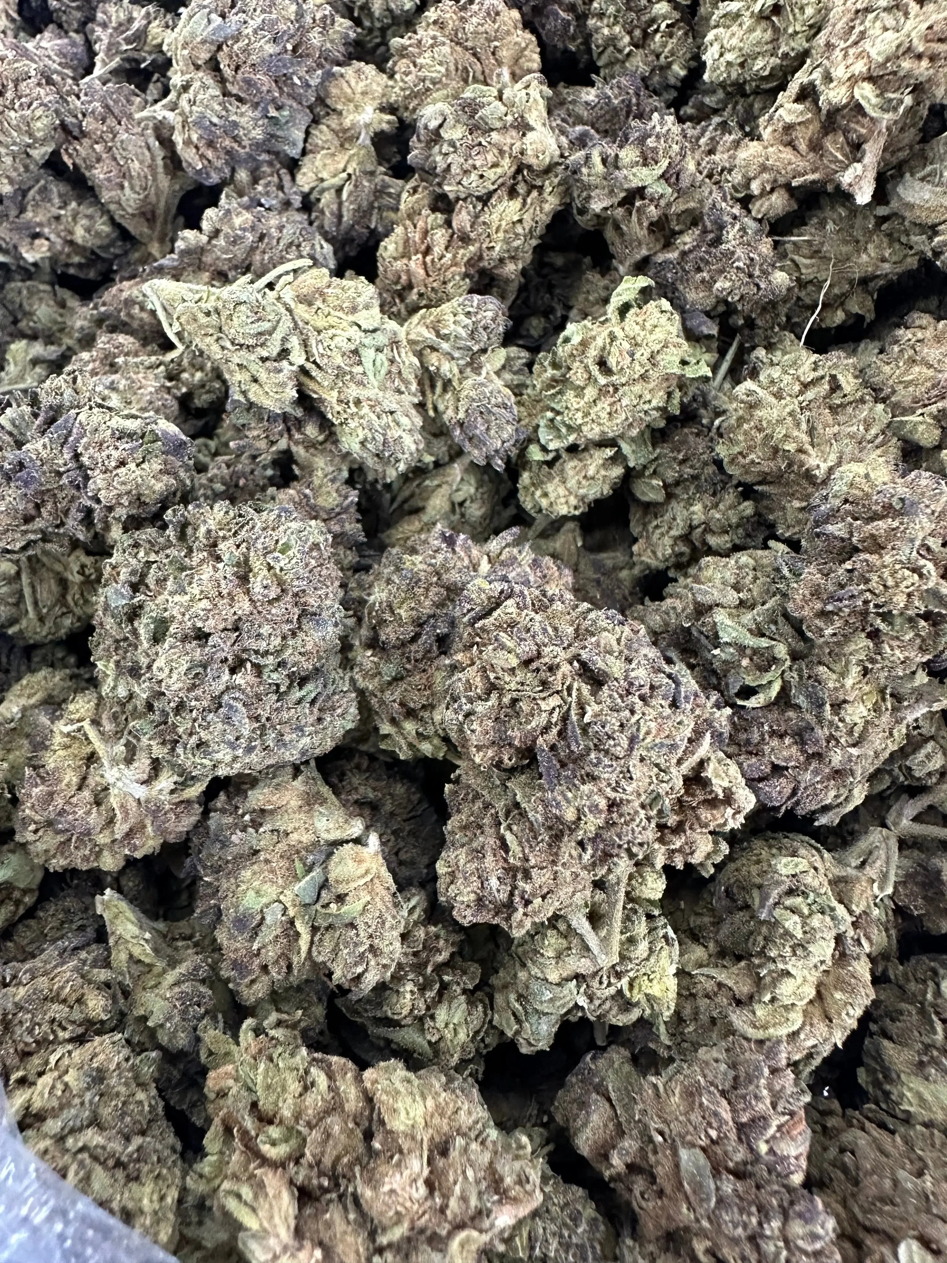 Frisco Labs - Obama Runtz THCA Strain - Image 2