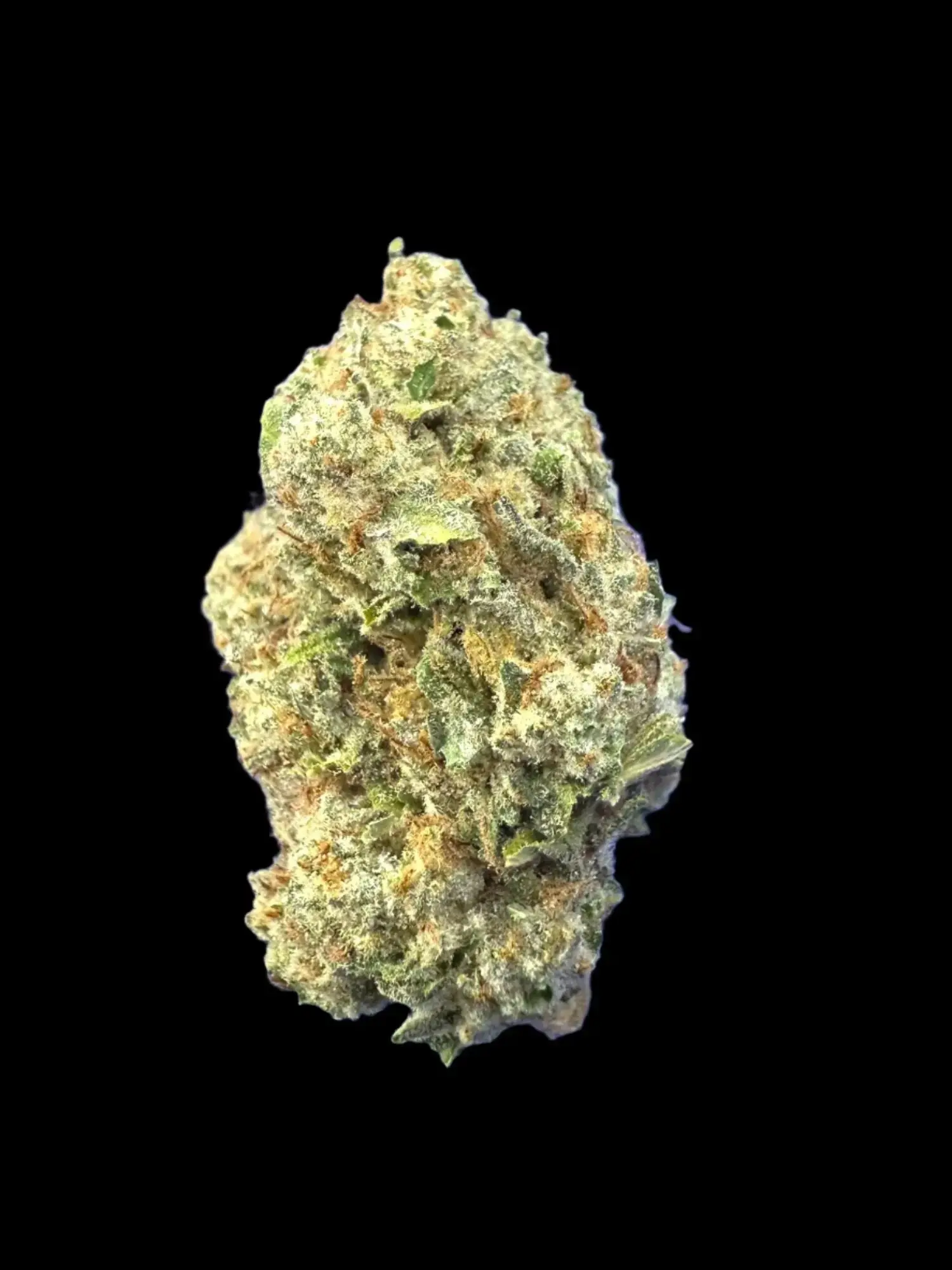 1 Pound - Purple Punch Strain THCA