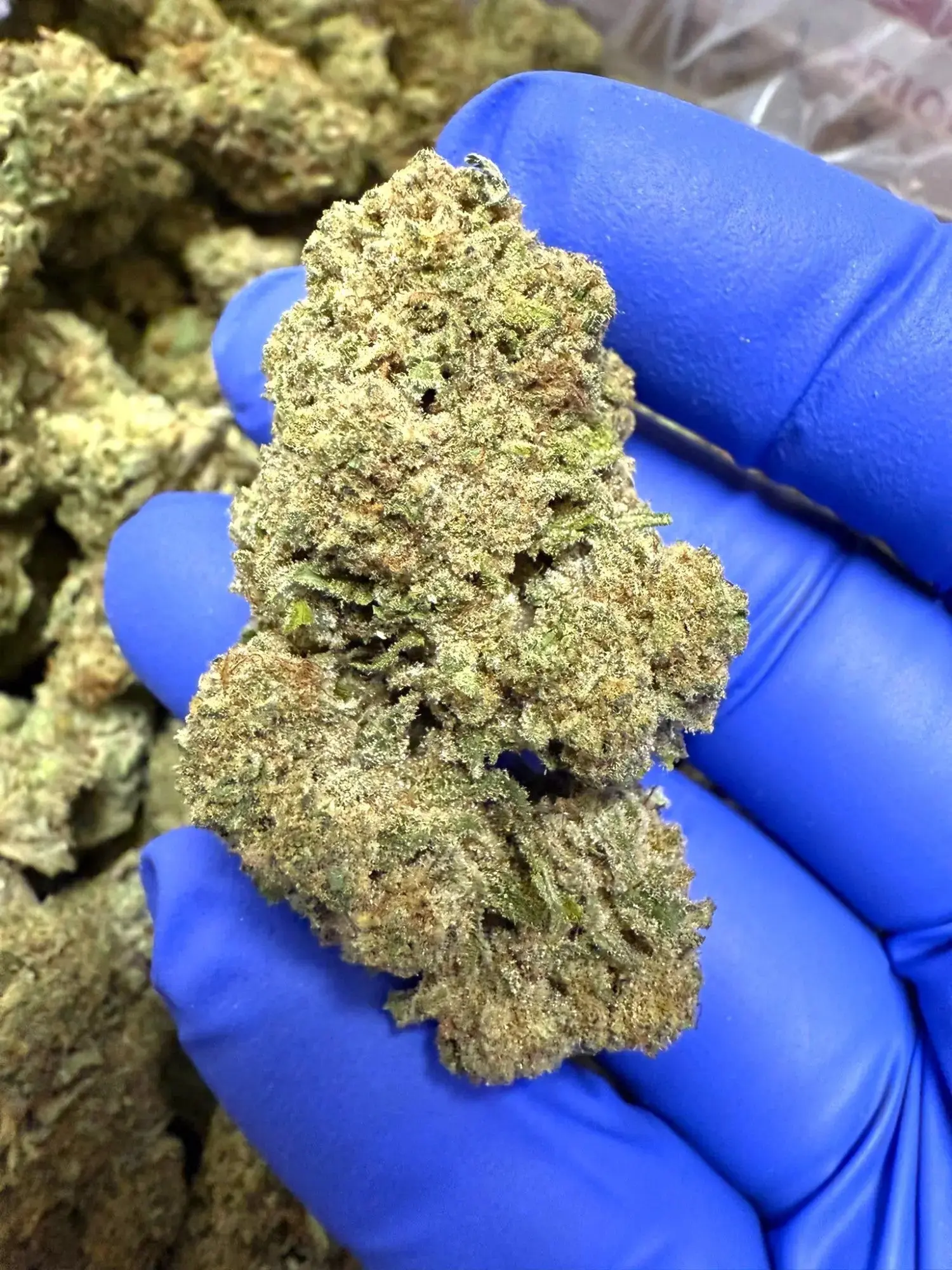 1 Pound - Purple Punch Strain THCA - Image 3