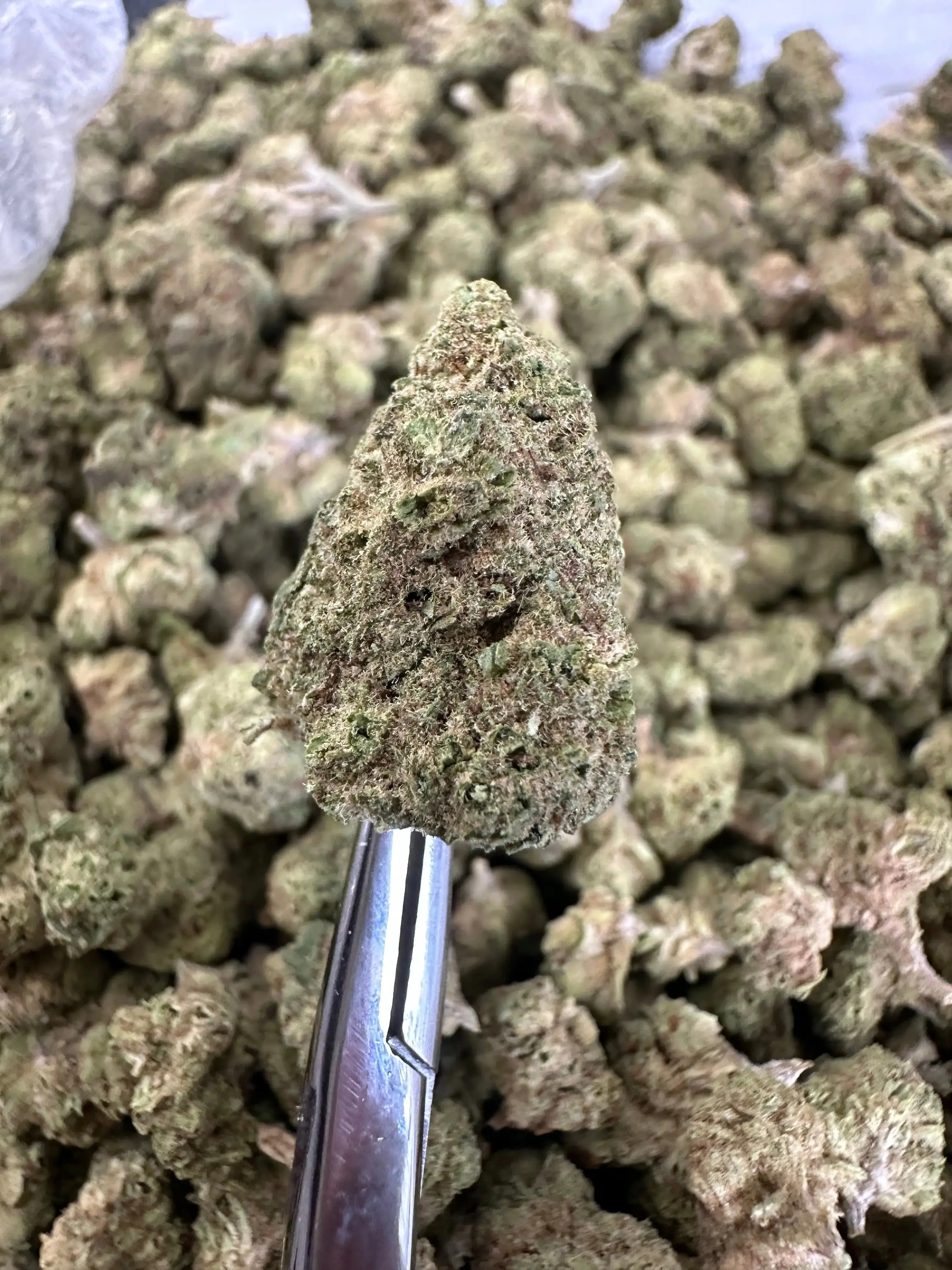 Frisco Labs - The Soap Strain THCA