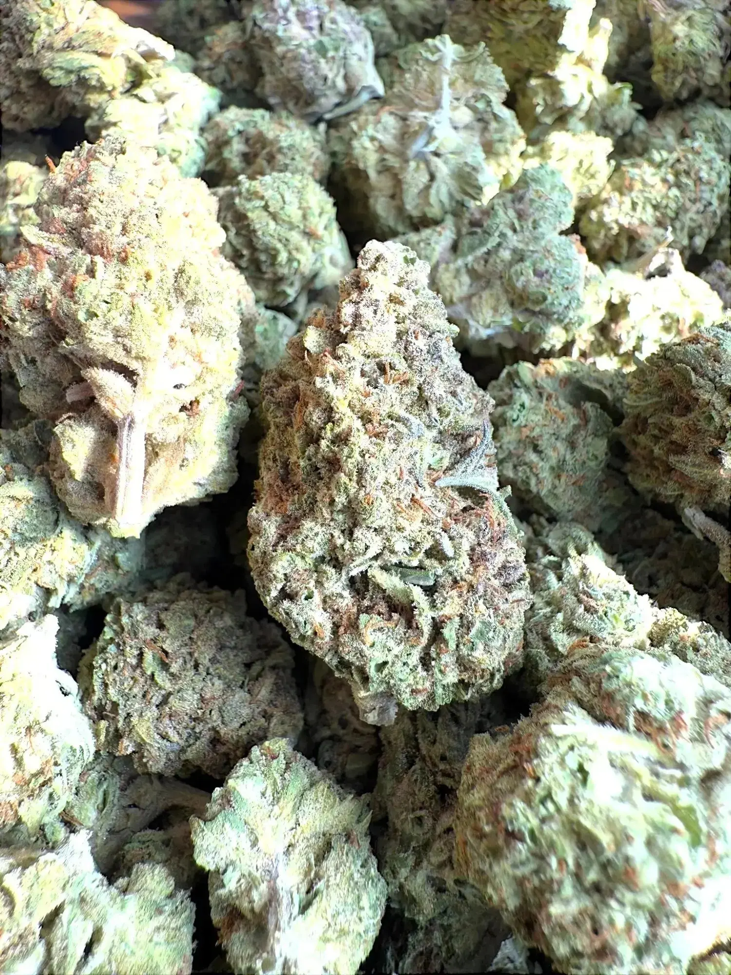 Frisco Labs - Strawberry Gelato Strain THCA - Image 2