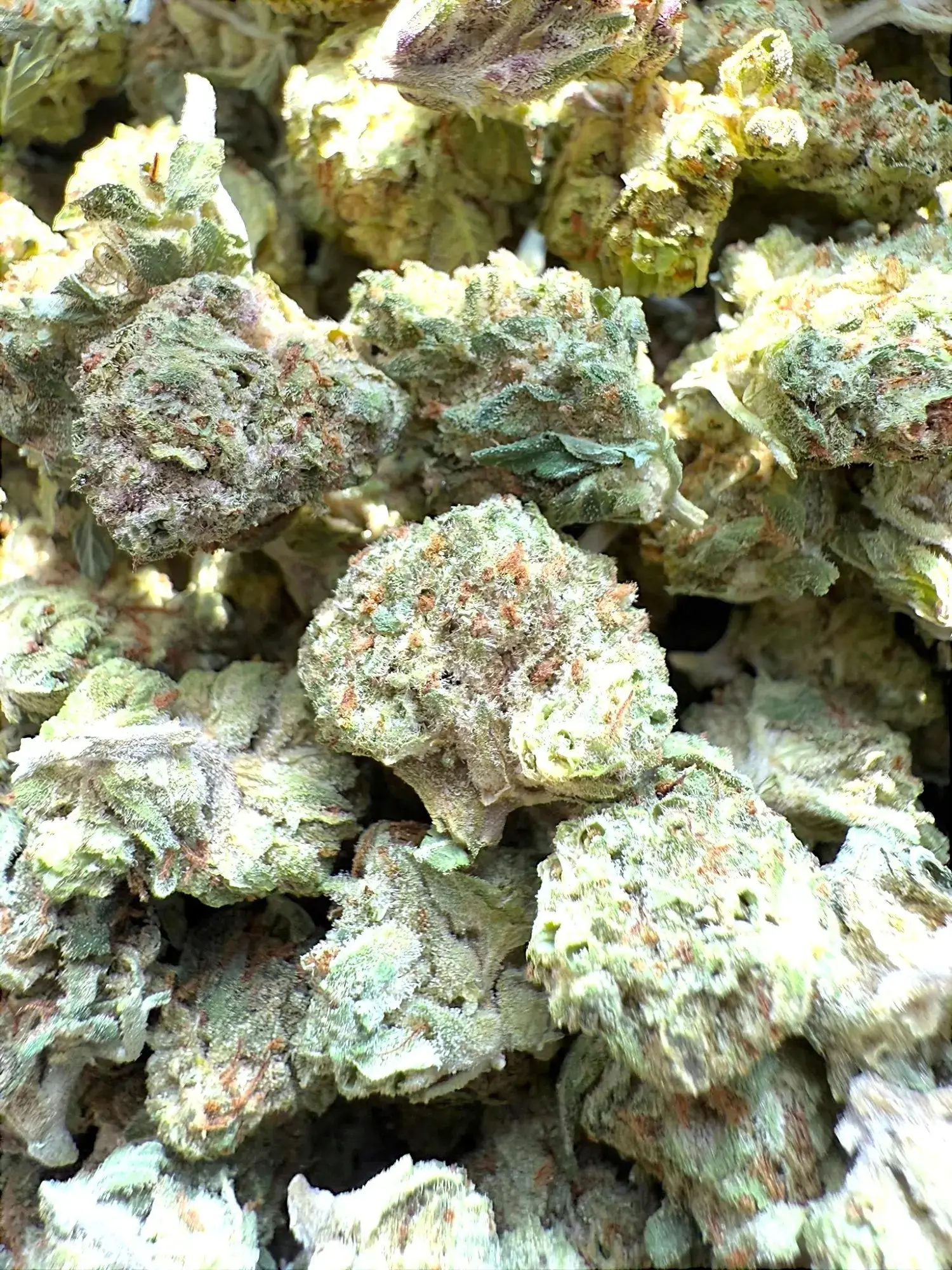 Frisco Labs - Strawberry Gelato Strain THCA - Image 3