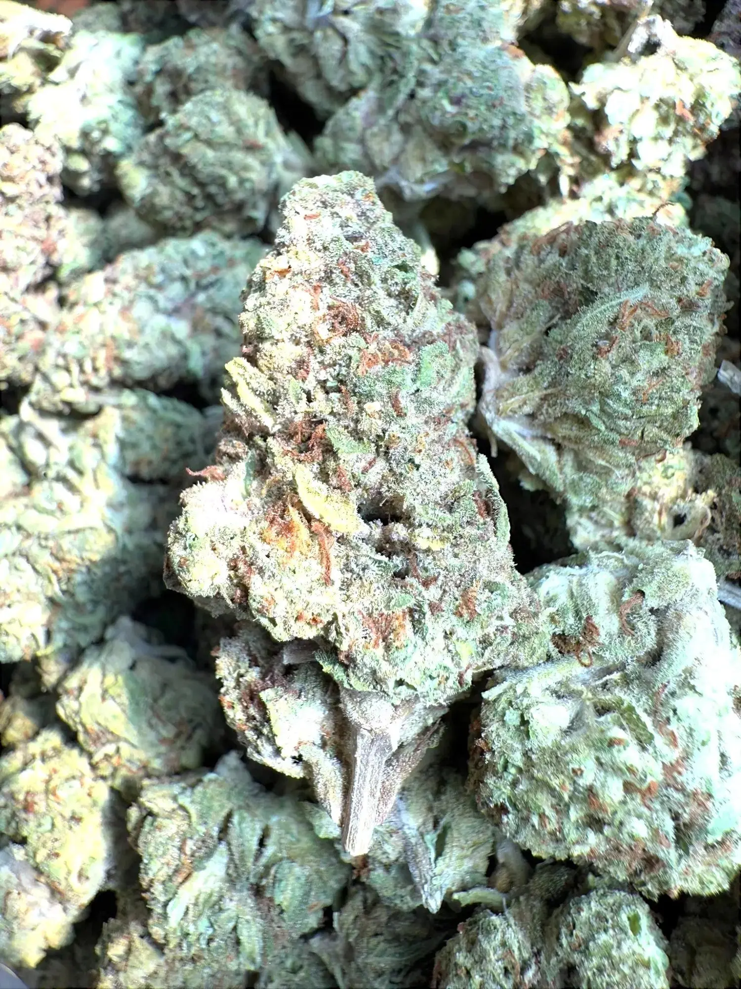 Frisco Labs - Strawberry Gelato Strain THCA - Image 5