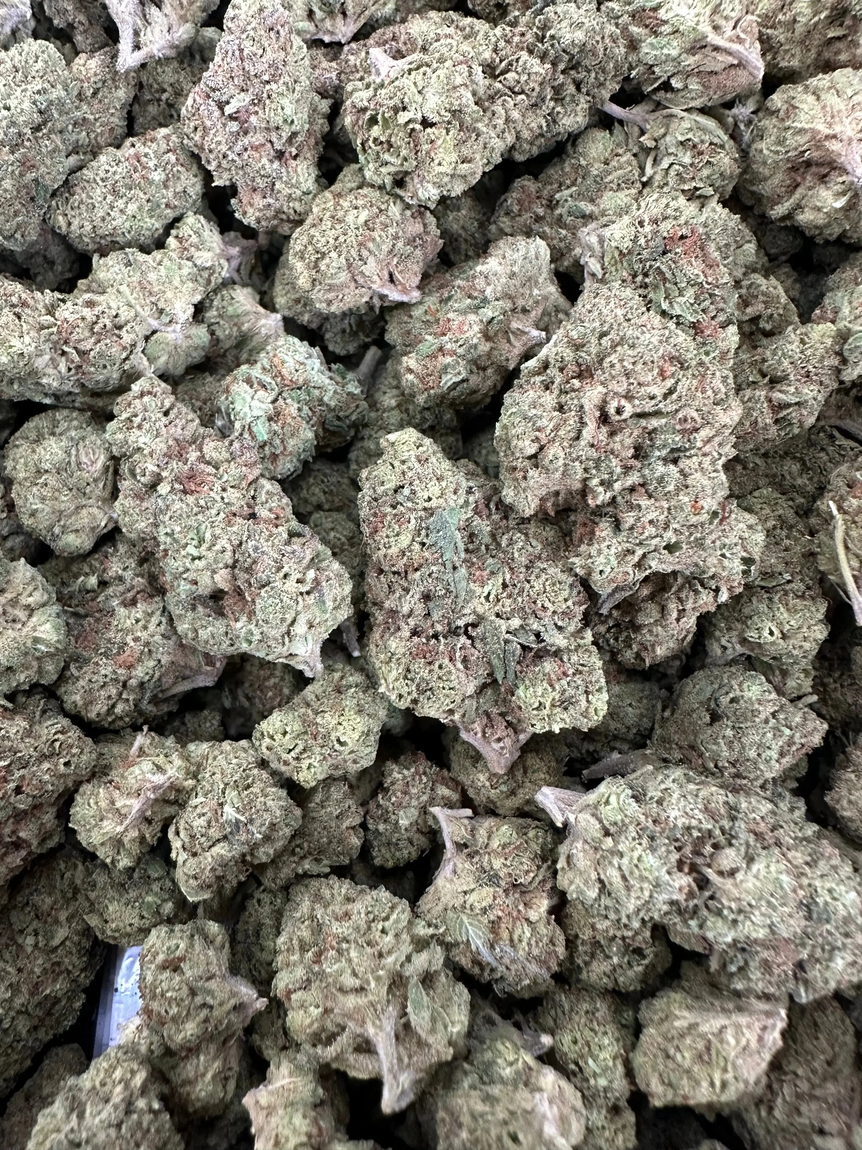 Frisco Labs - Gelato 41 THCA - Image 2