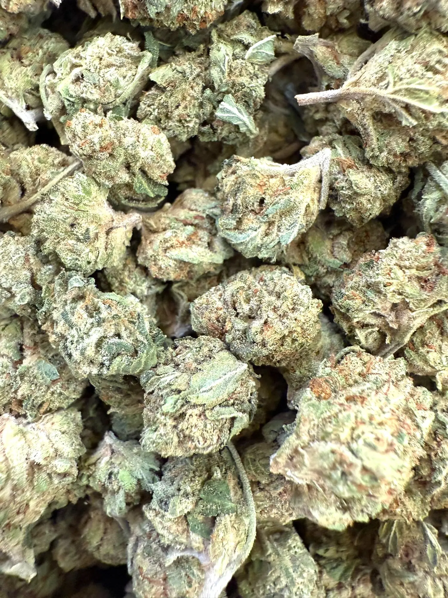 1 Pound - Gelato 41 THCA Smalls - Image 2