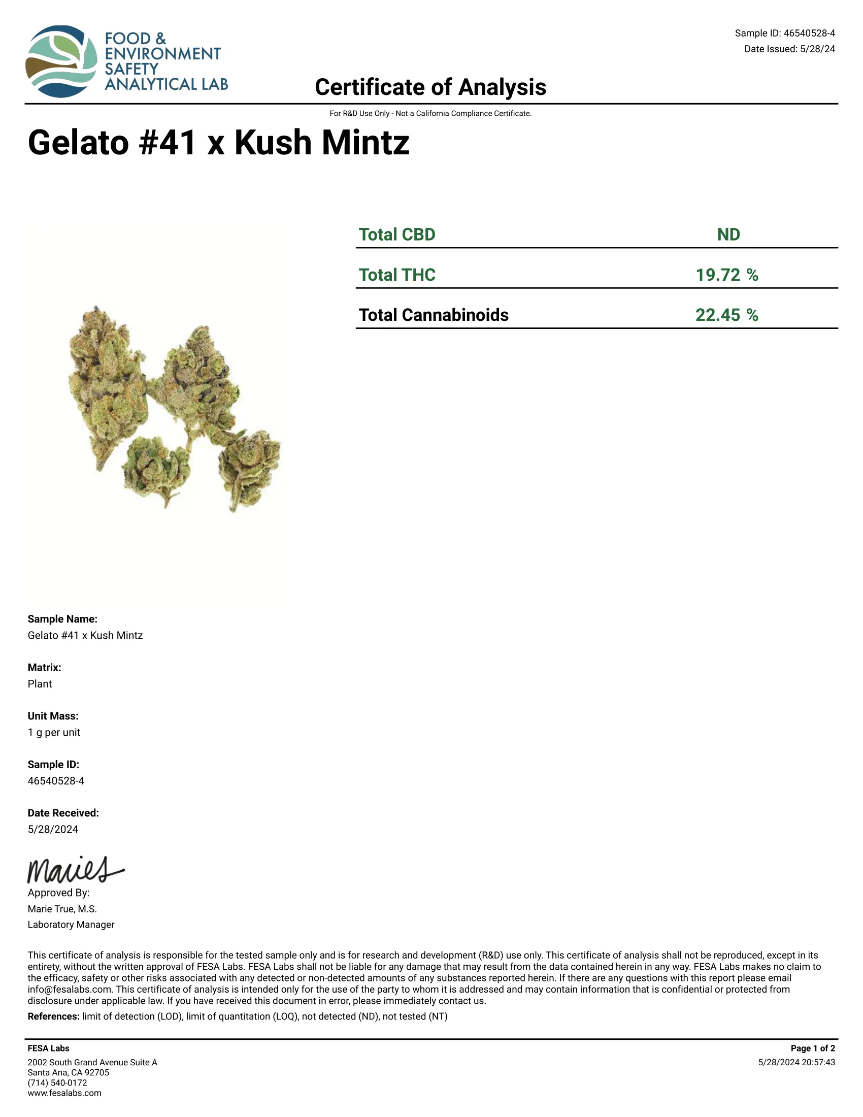 1 Pound - Gelato 41 THCA Smalls - Image 3
