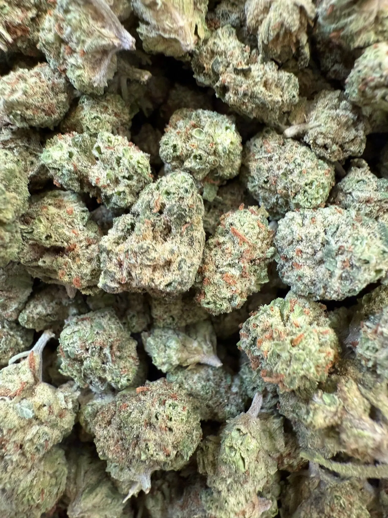 1 Pound - Gelato Punch THCA Smalls