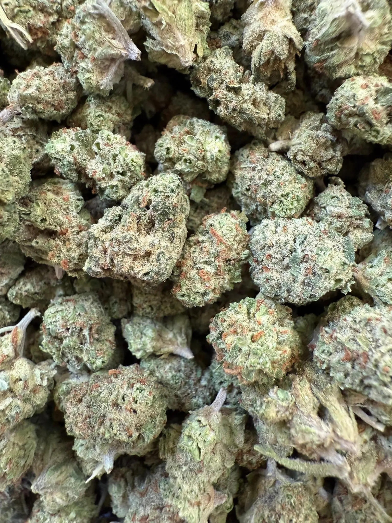 1 Pound - Gelato Punch THCA Smalls - Image 3