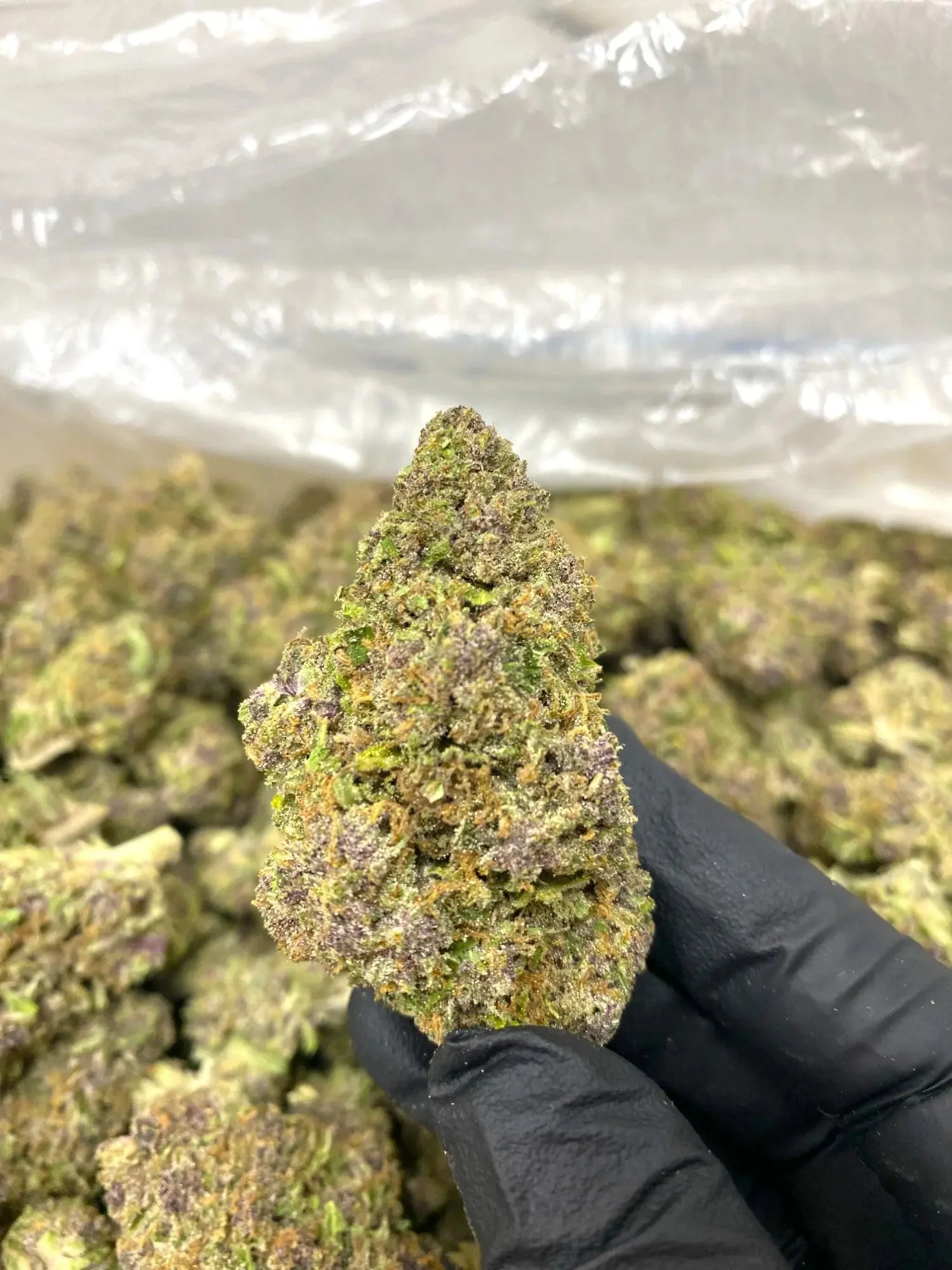 Frisco Labs - Grape Soda Indoor THCA Strain - Image 2