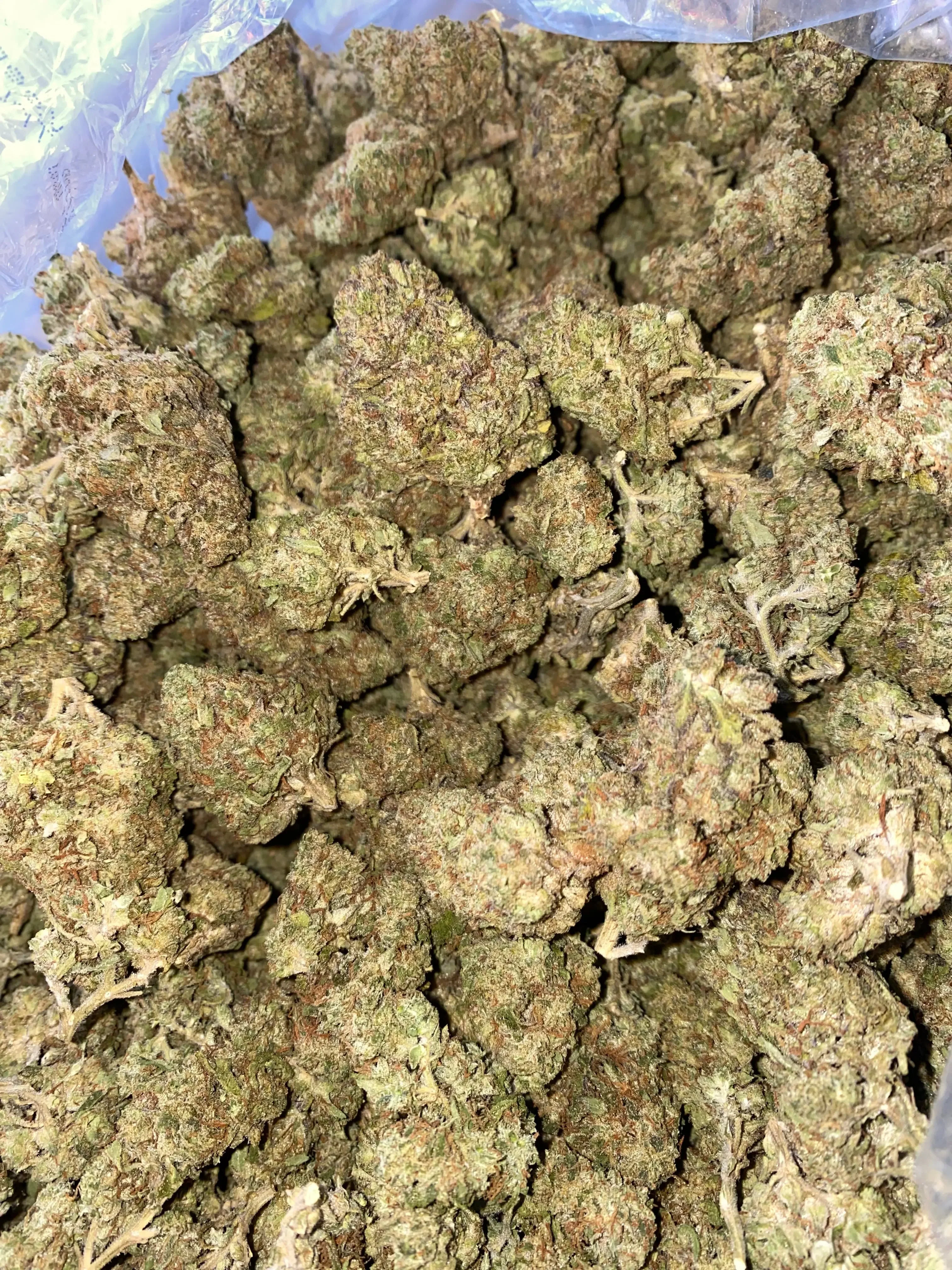 Grapefruit THCA - Image 6