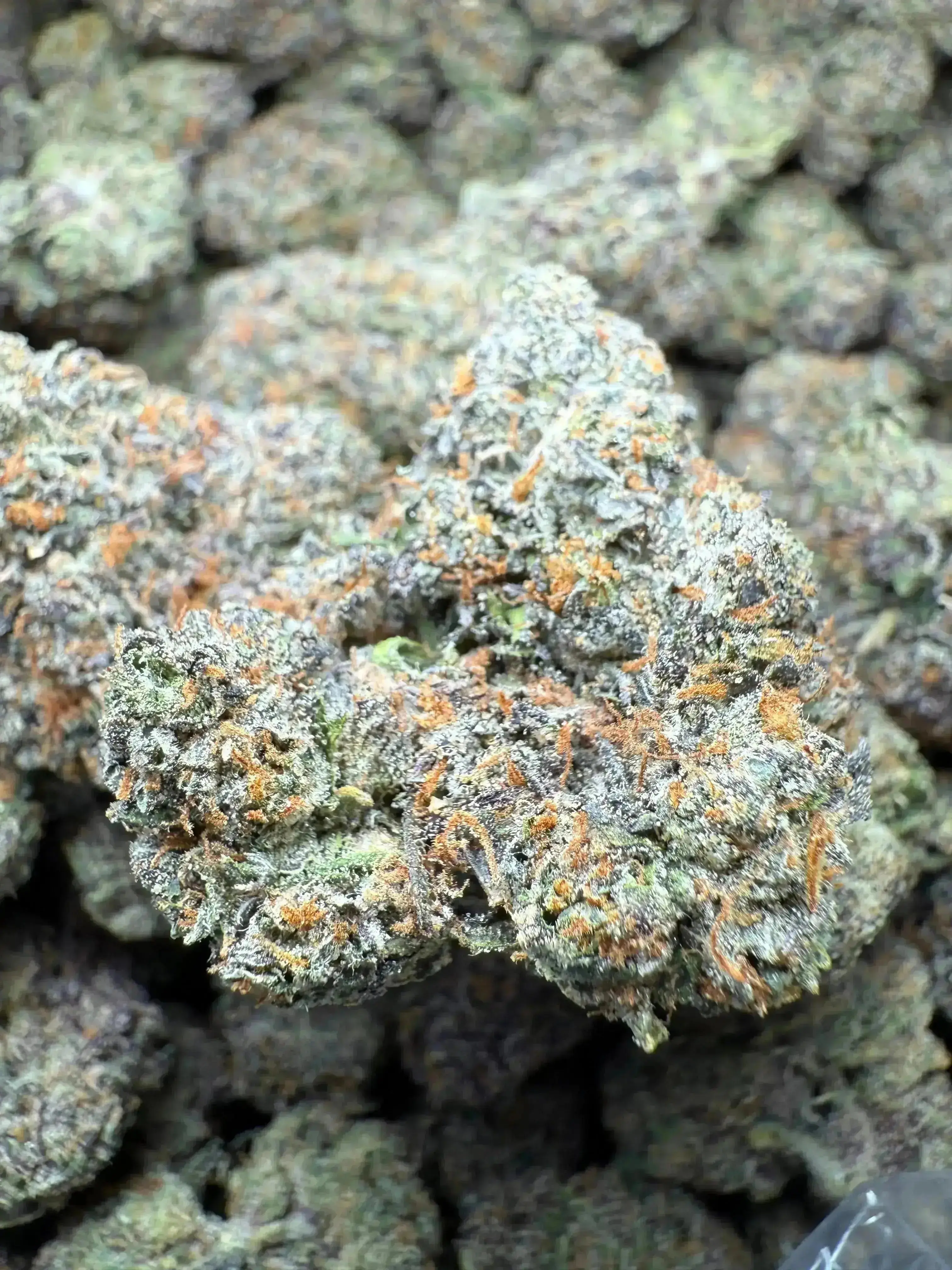 ¼ oz GMO MAC THCA Flower - Image 3