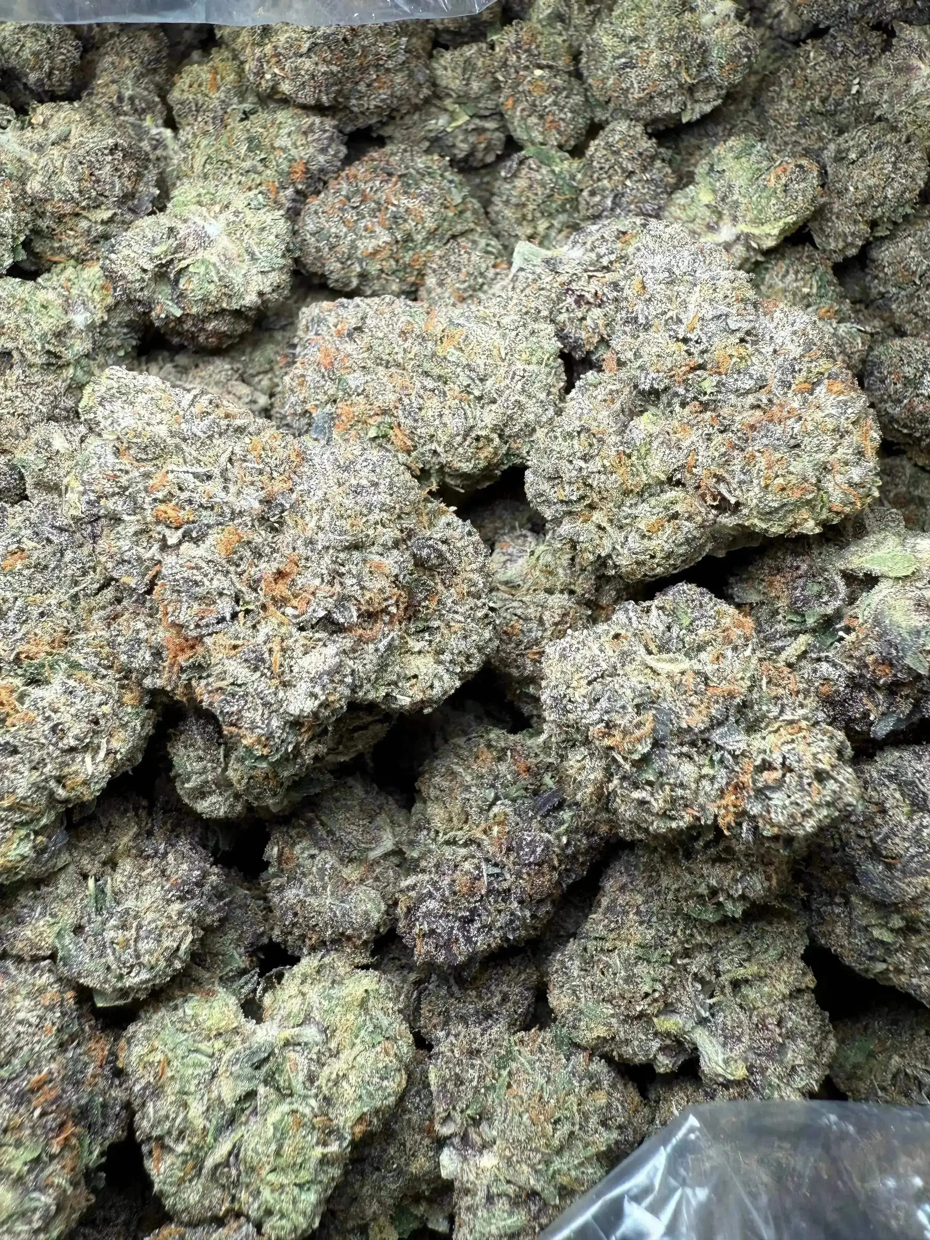 ¼ oz GMO MAC THCA Flower - Image 4