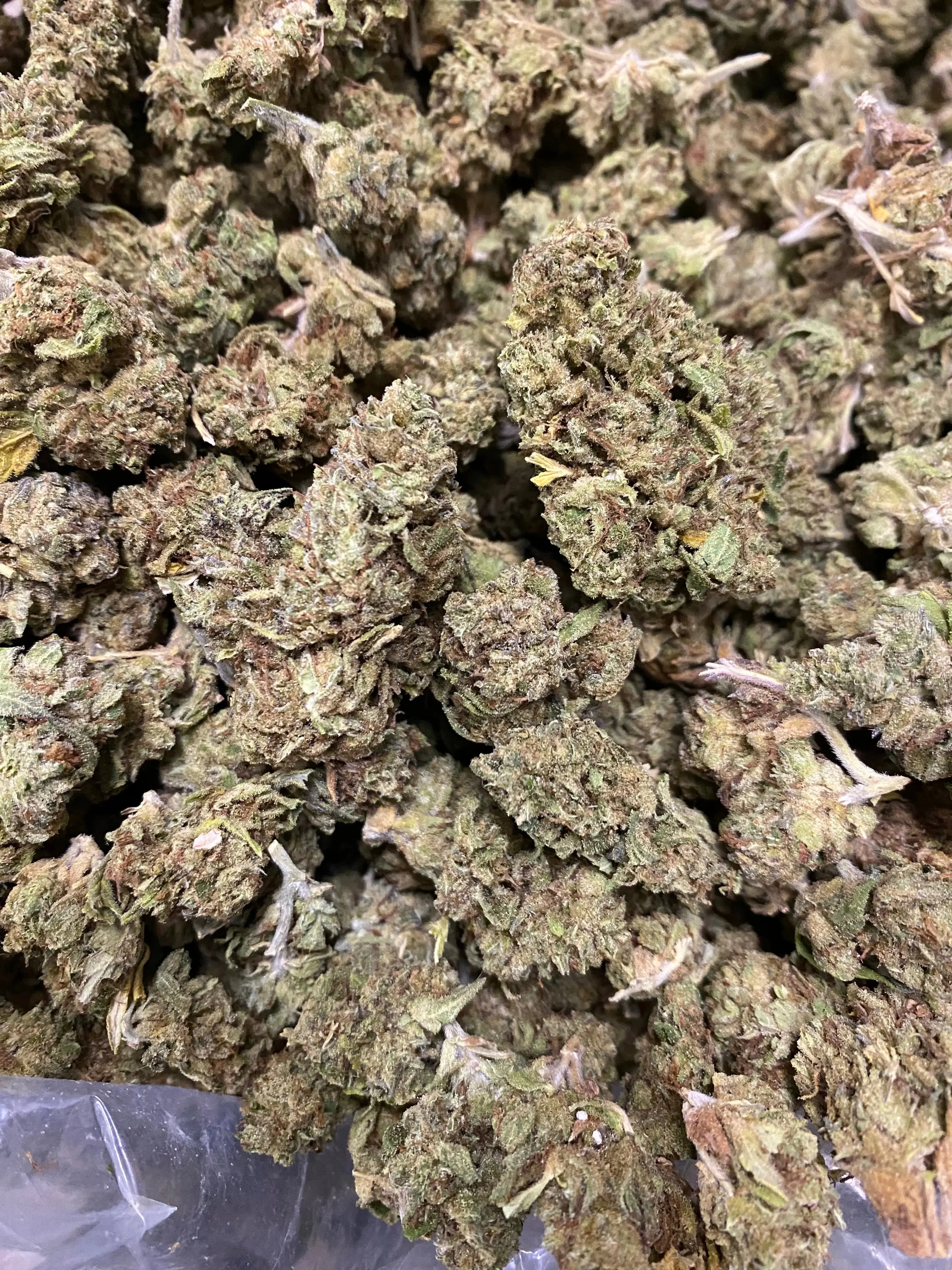 Gushers THCA - Image 2