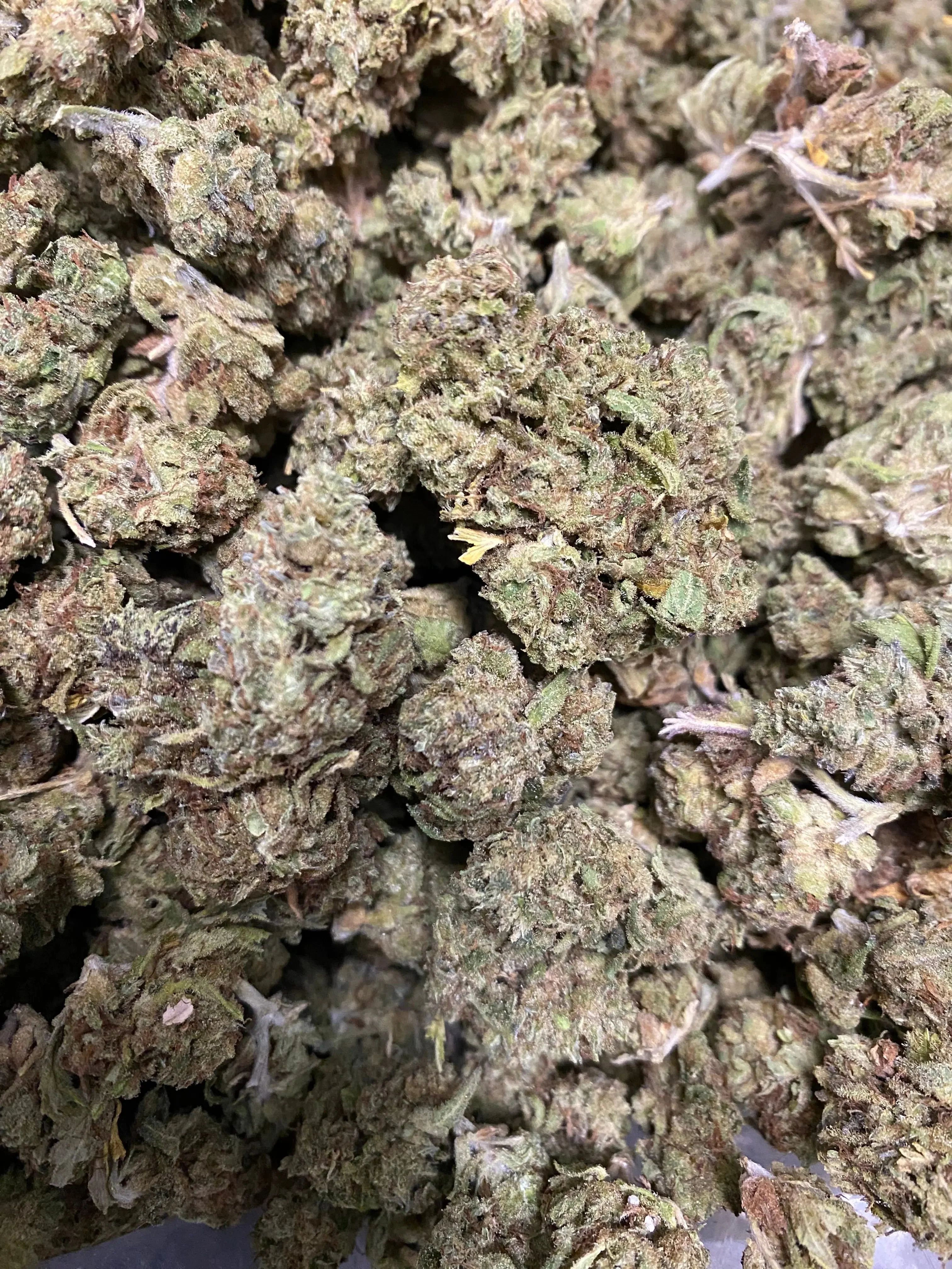 Gushers THCA - Image 4