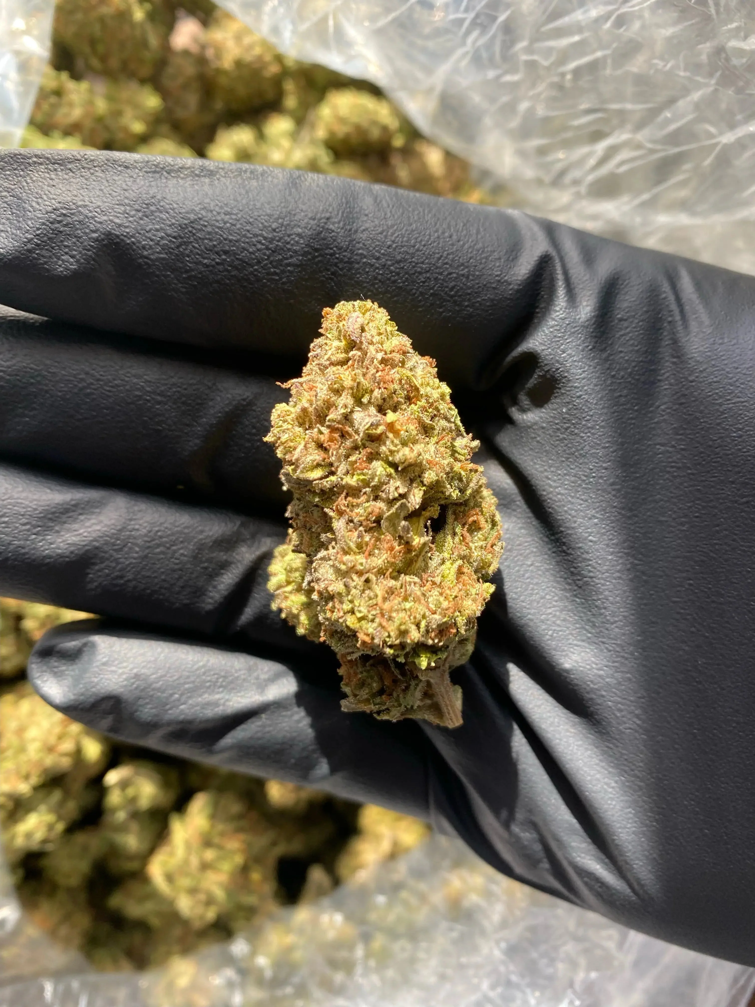 Frisco Labs - Hindu Zkittlez THCA Strain