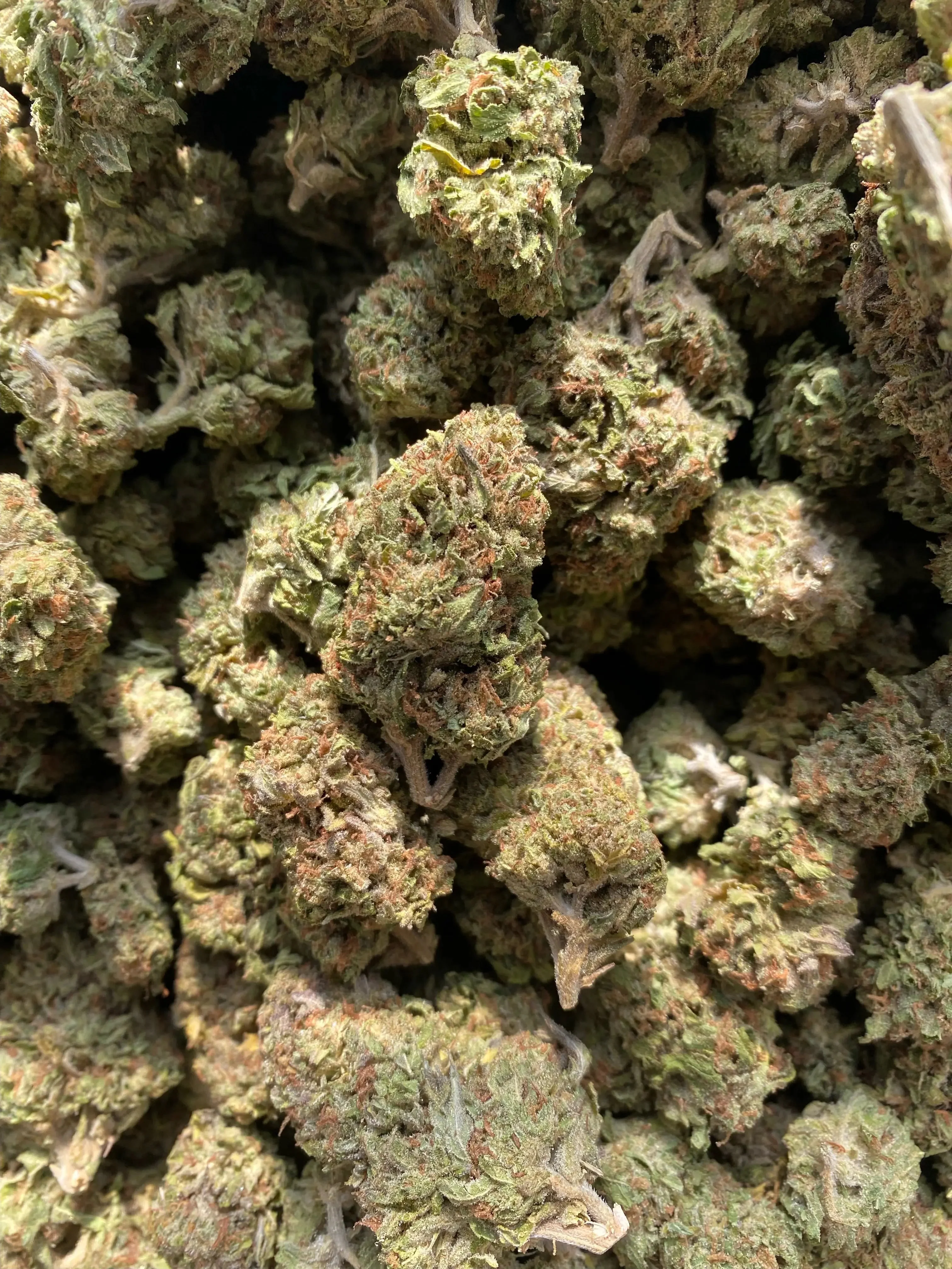 Frisco Labs - Hindu Zkittlez THCA Strain - Image 3