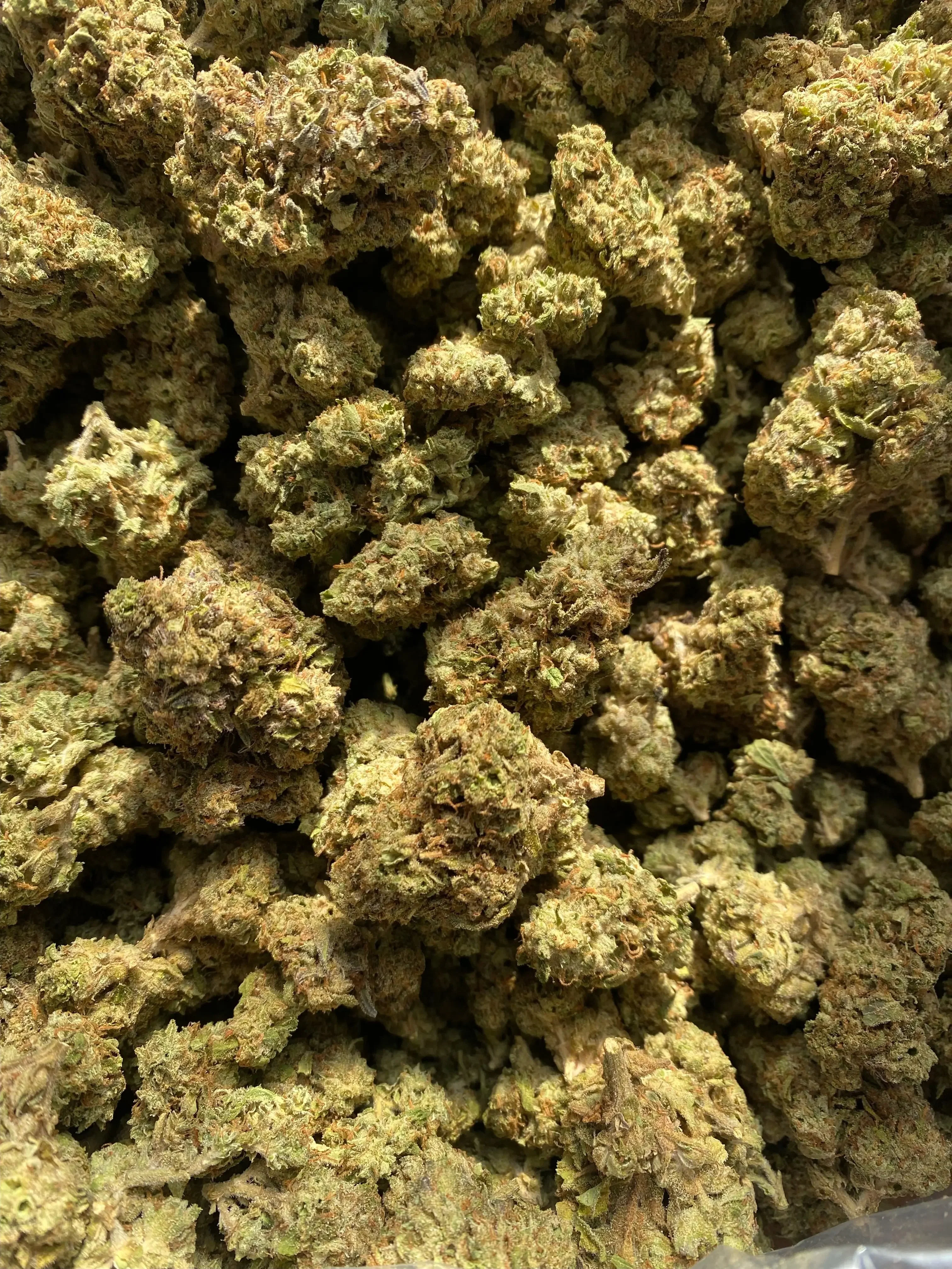 Frisco Labs  - O Blizzy THCA Strain - Image 3