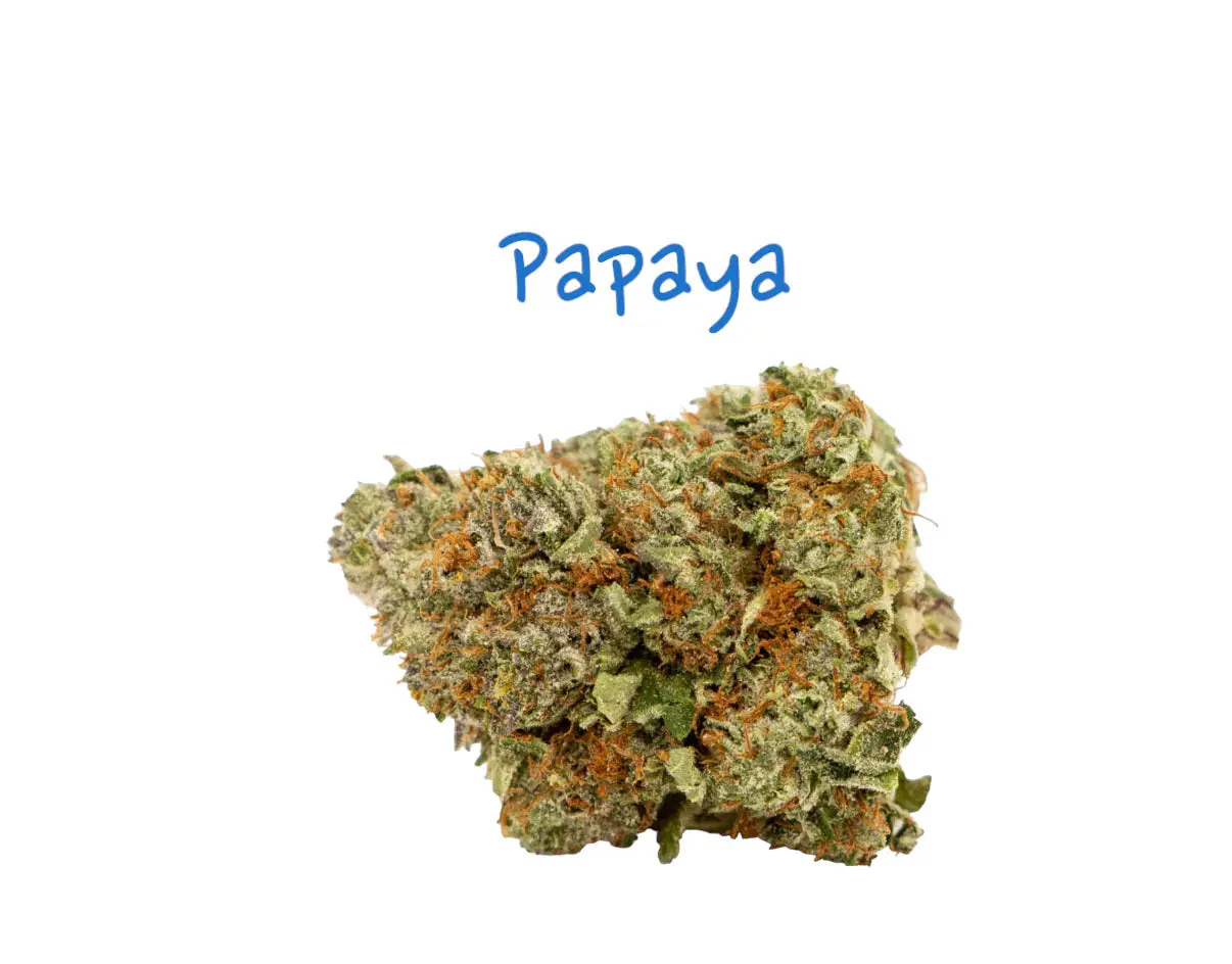 Papaya THCa Flower