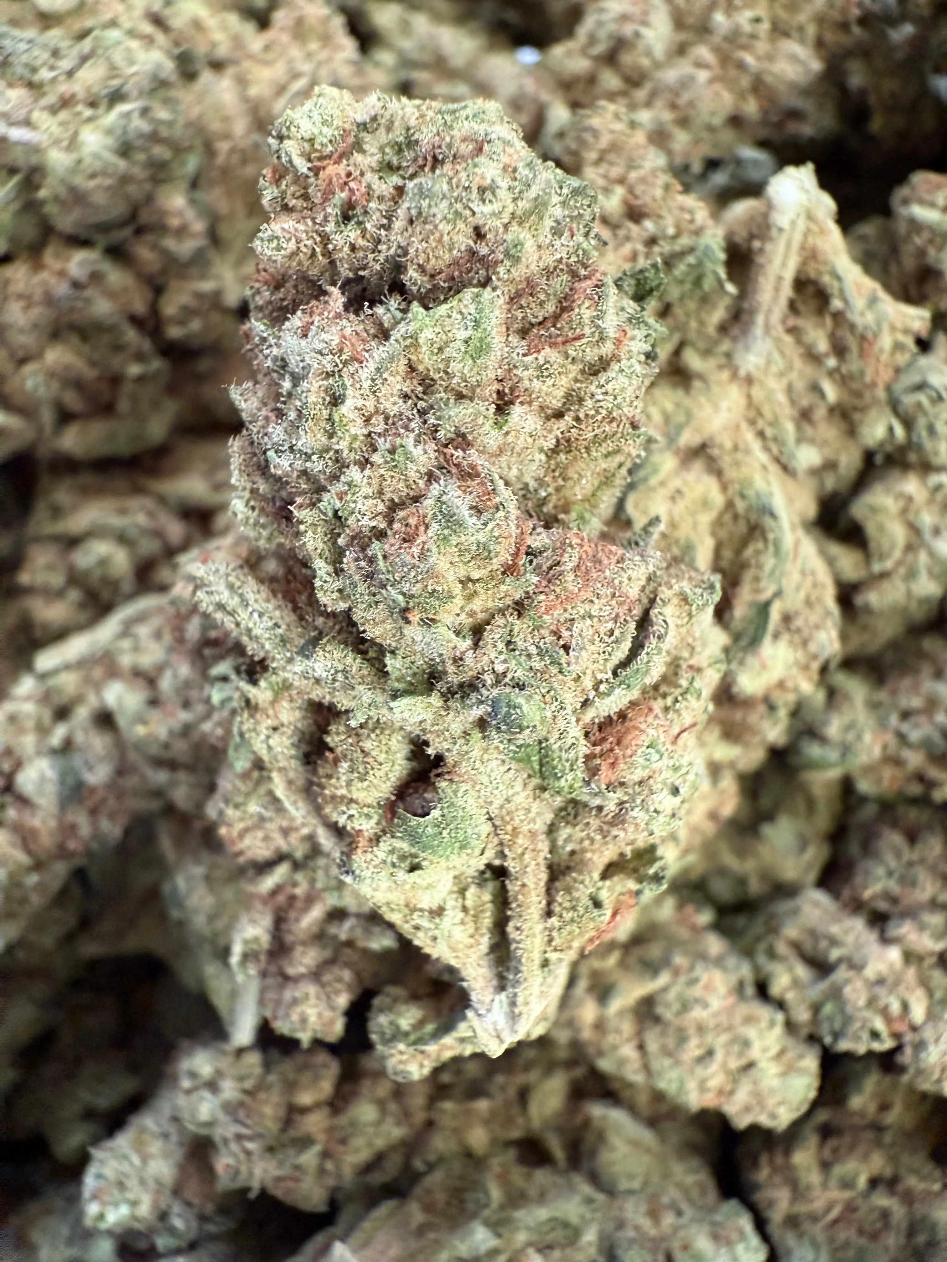 1 Pound - Pie Face THCA - Image 2