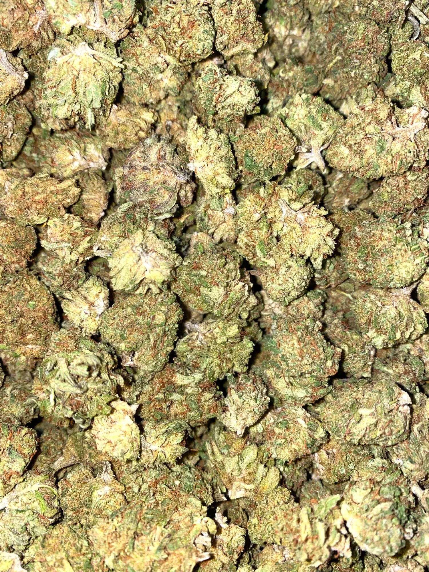 Frisco Labs - Sour Electra CBD Strain - Image 2