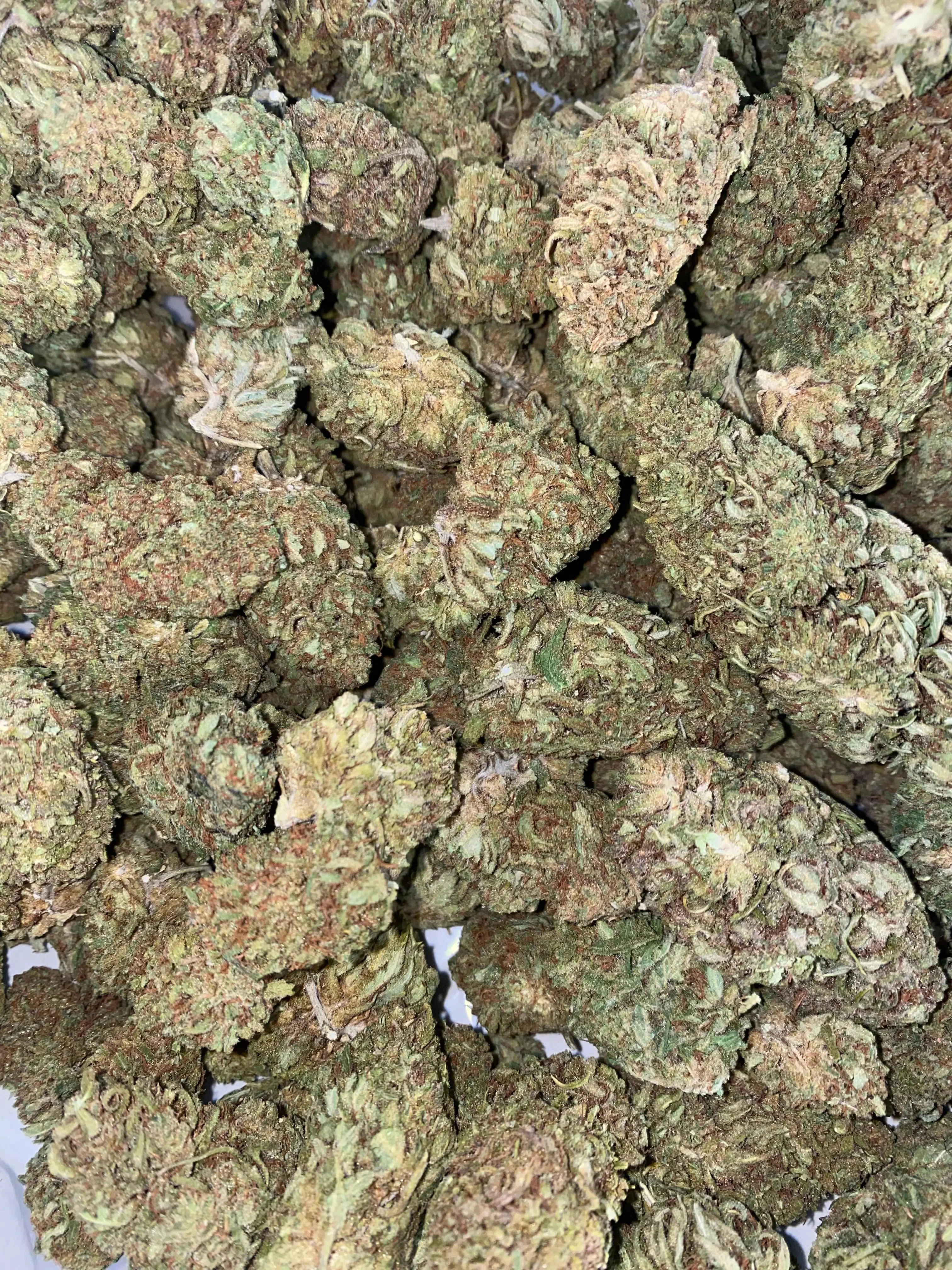 Frisco Labs - Sour Special Sauce CBD Strain - Image 2