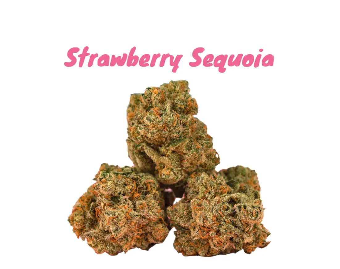 Strawberry Sequoia THCa Flower