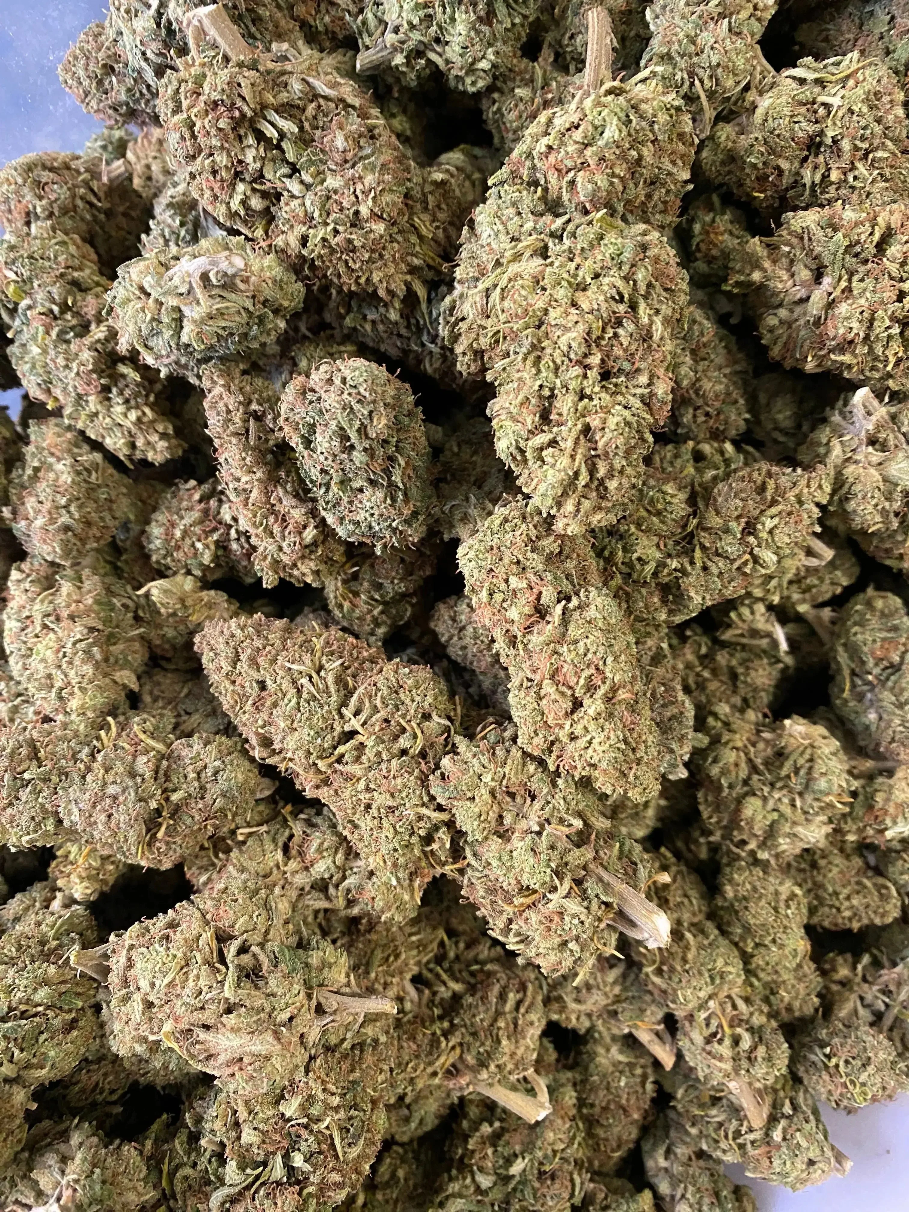 Frisco Labs - Super Sour Space Candy CBD Strain - Image 2