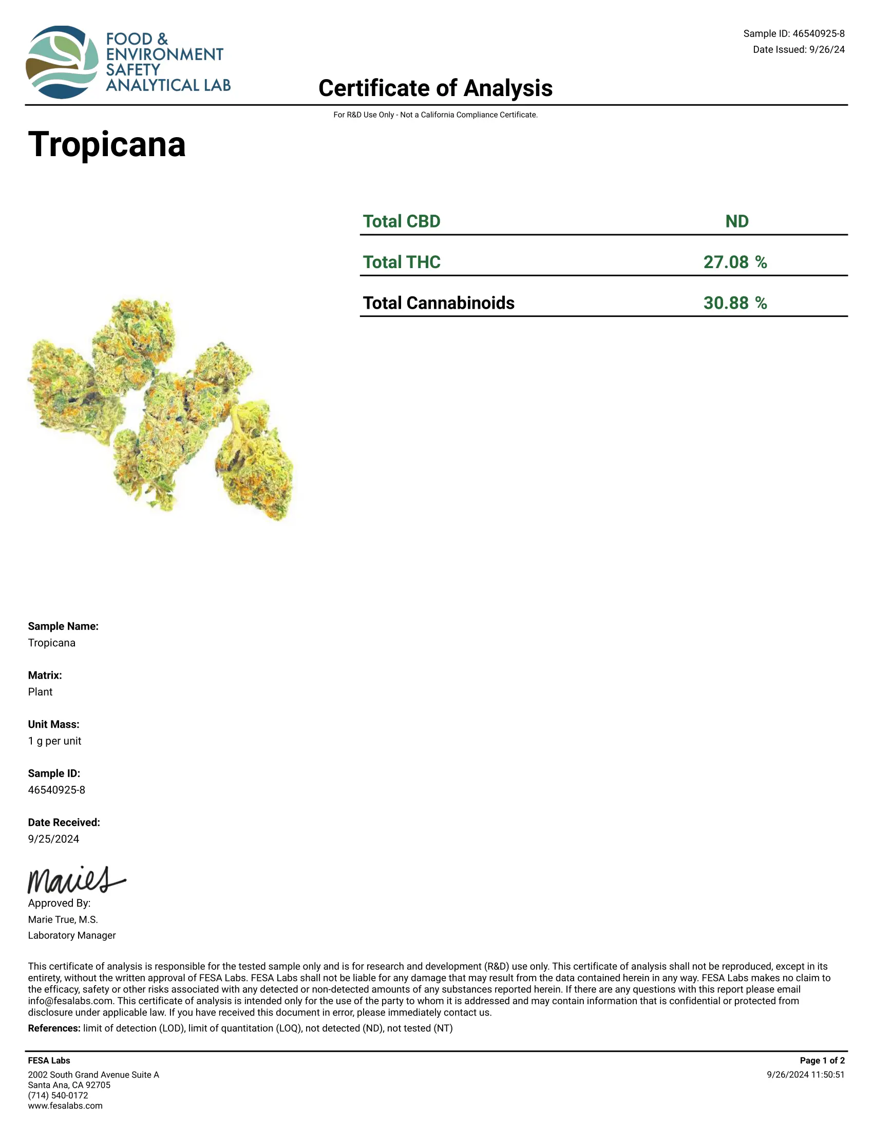 1 Pound - Tropical Sherbet THCA Smalls - Image 3
