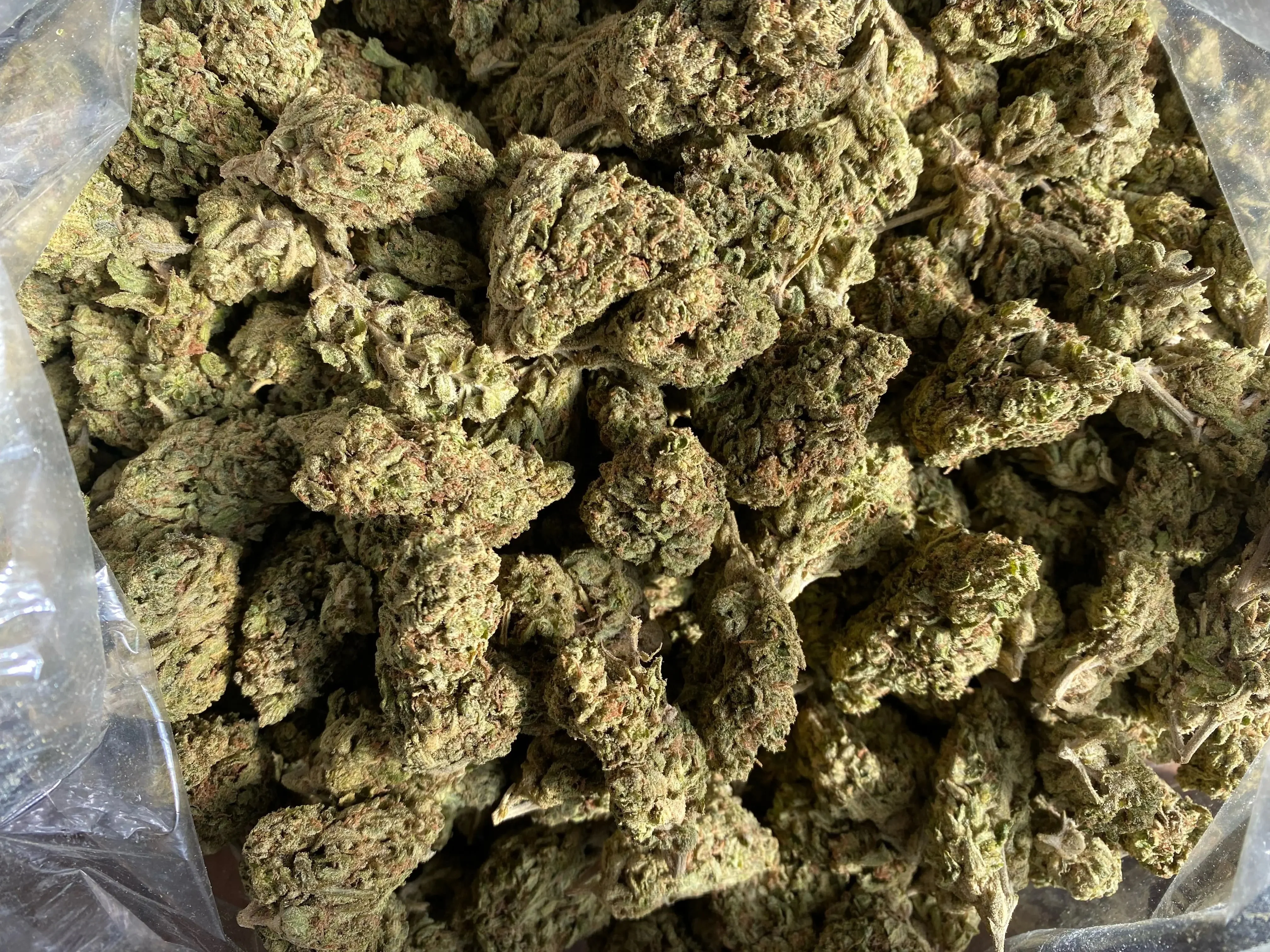 Tuscon Gelato THCA - Image 2
