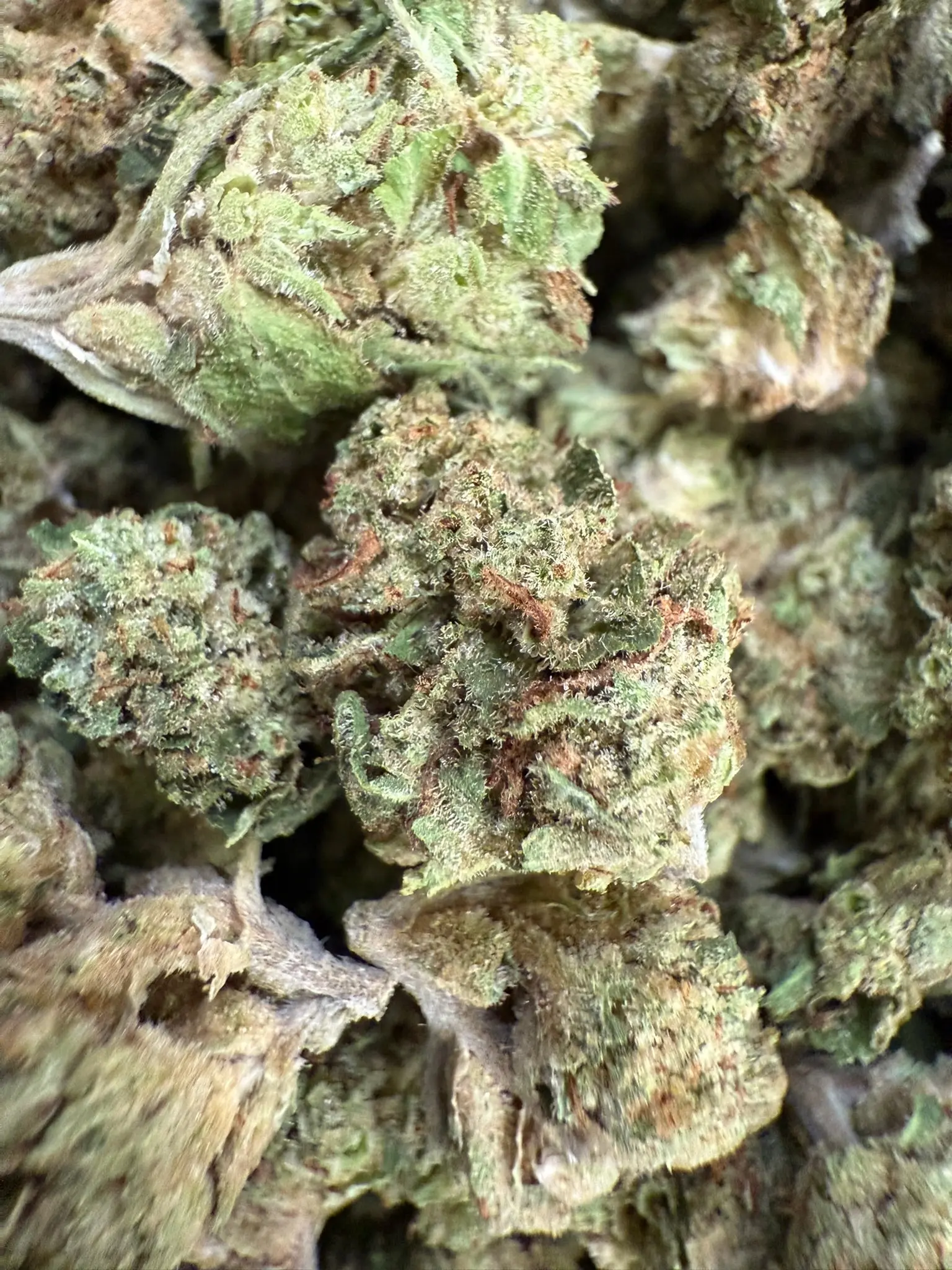 1 Pound - White Cherry Gelato (Smalls)