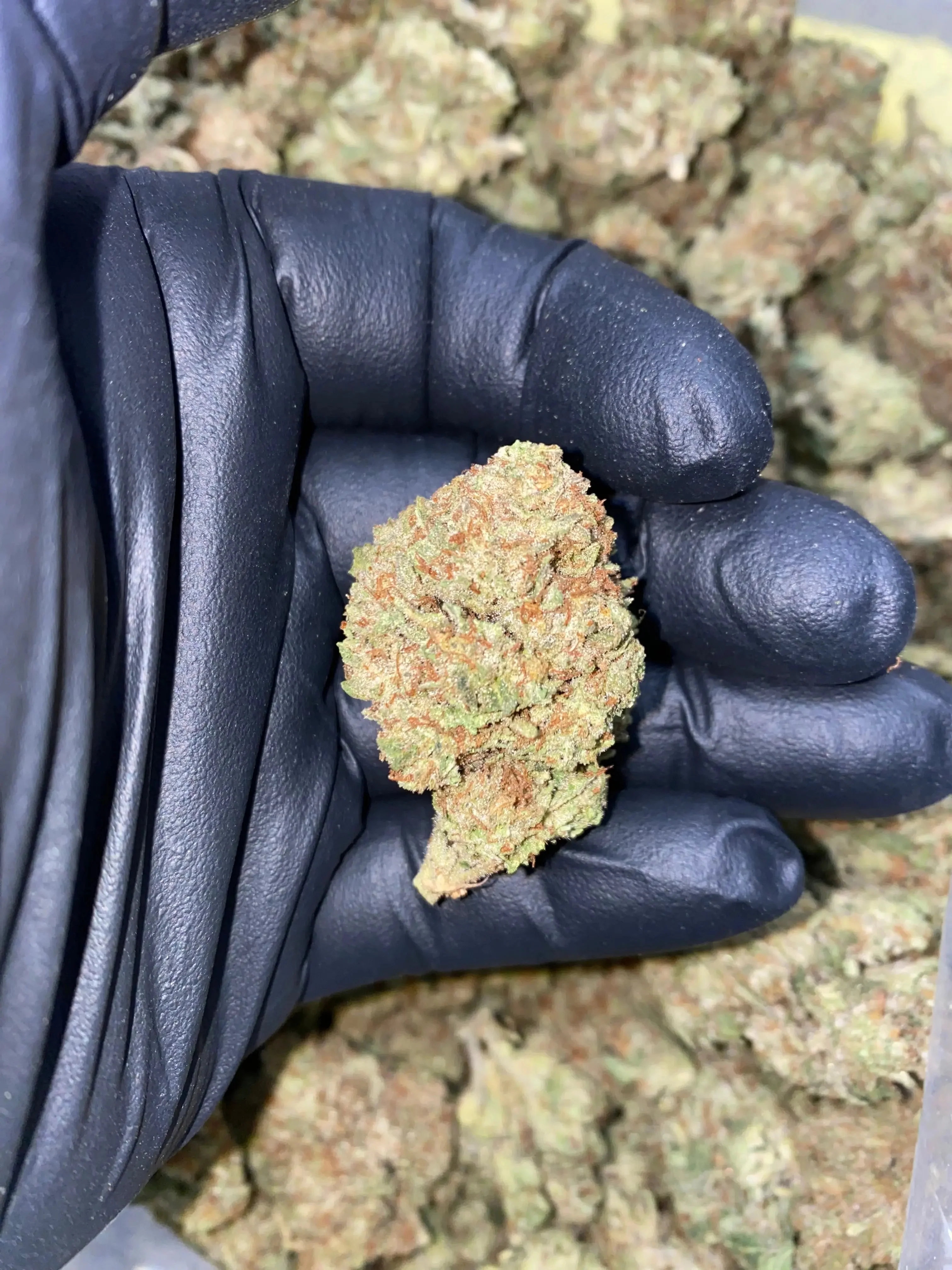 Frisco Labs - Zereal Milk THCA Strain