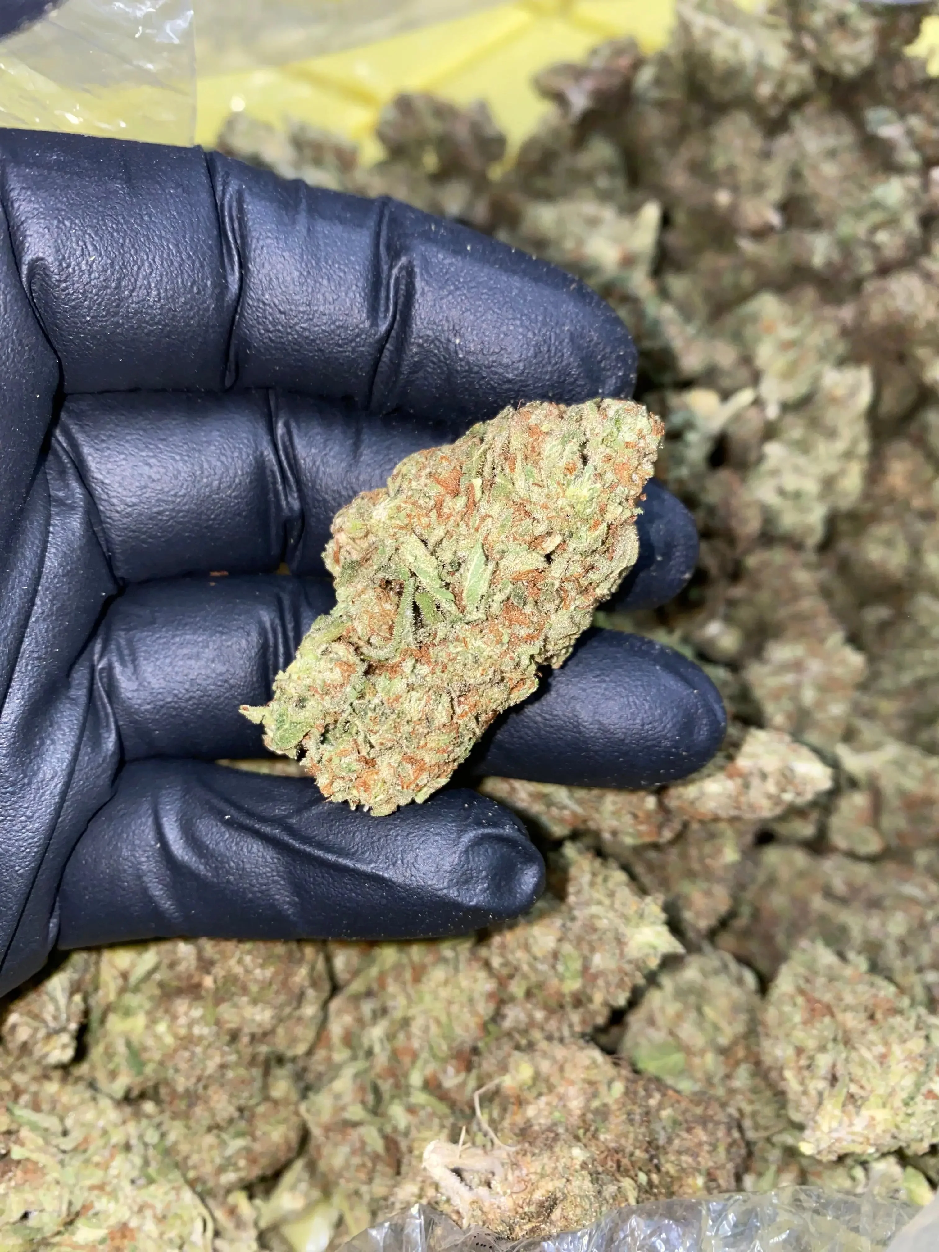 Frisco Labs - Zereal Milk THCA Strain - Image 13