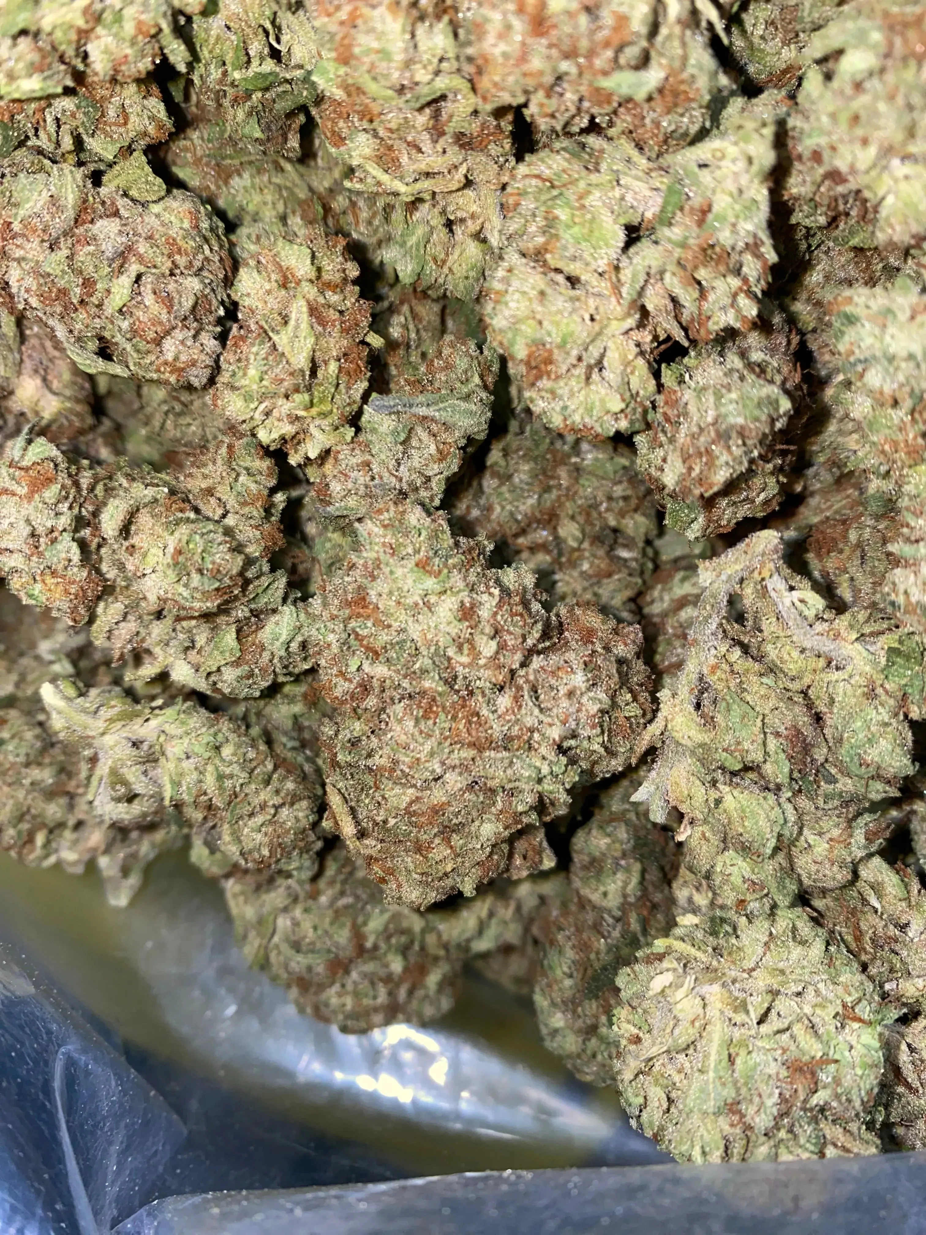 Frisco Labs - Zereal Milk THCA Strain - Image 5