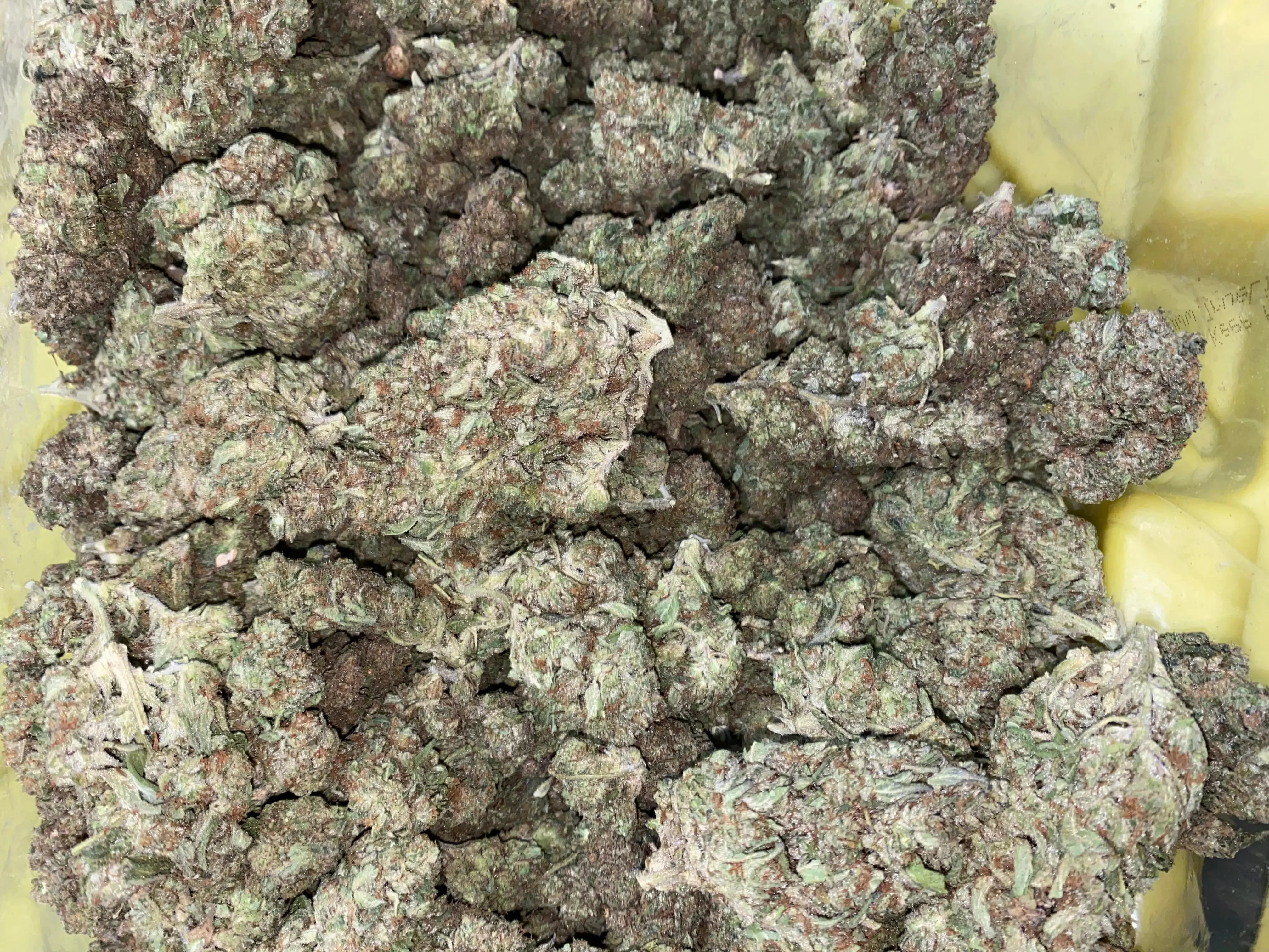Frisco Labs - Zereal Milk THCA Strain - Image 8